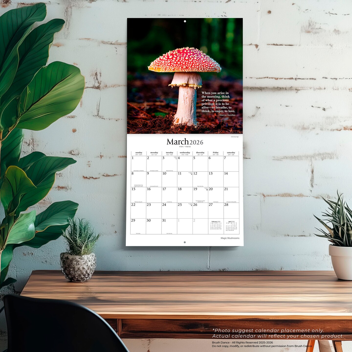 Magic Mushrooms | 2026 12 x 24 Inch (Hanging) Monthly Square Wall Calendar | Plastic-Free