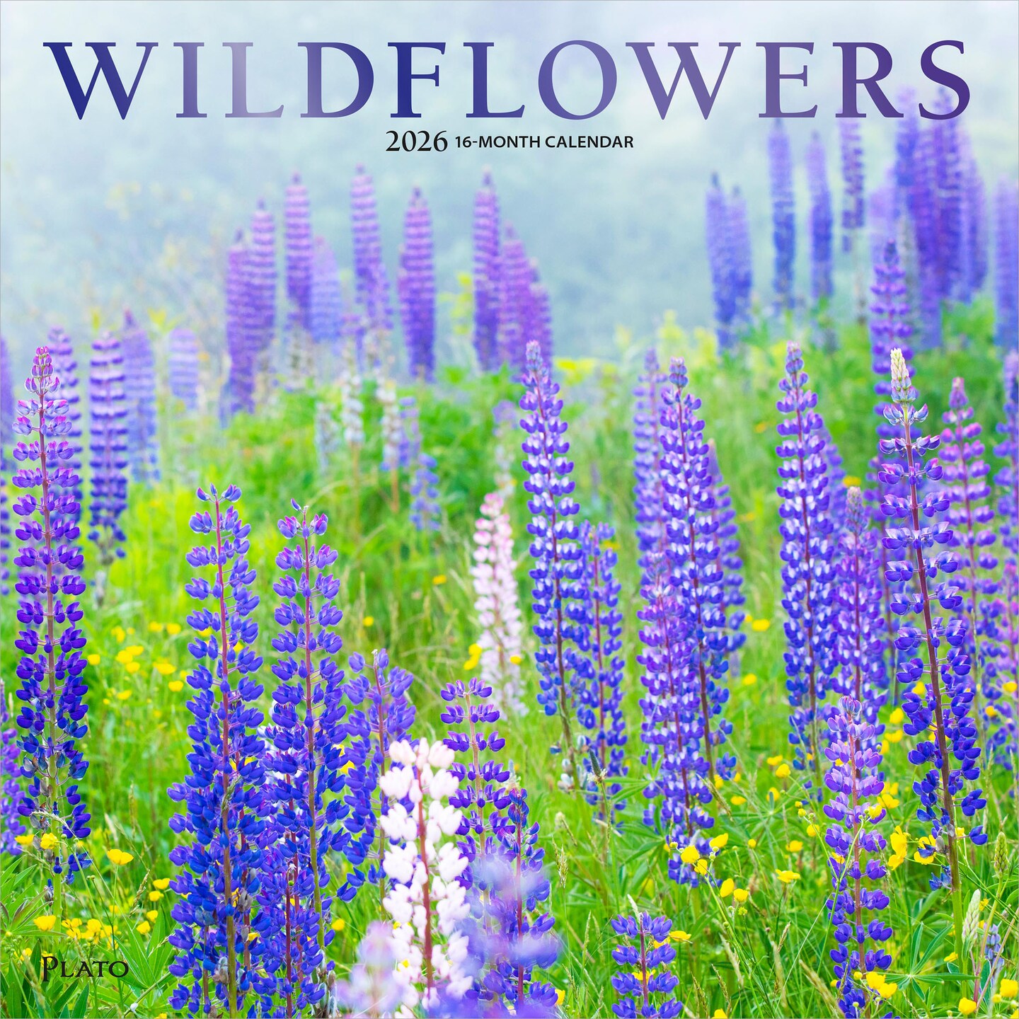 Wildflowers | 2026 12 x 24 Inch (Hanging) Monthly Square Wall Calendar | Foil Stamped Cover