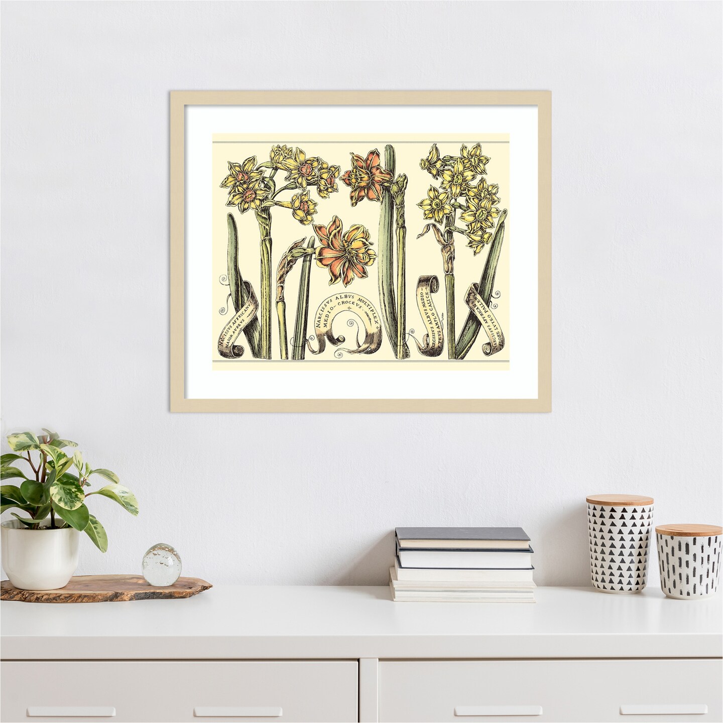 Narcissus in Bloom II by Mark W. Langlois Wood Framed Wall Art Print