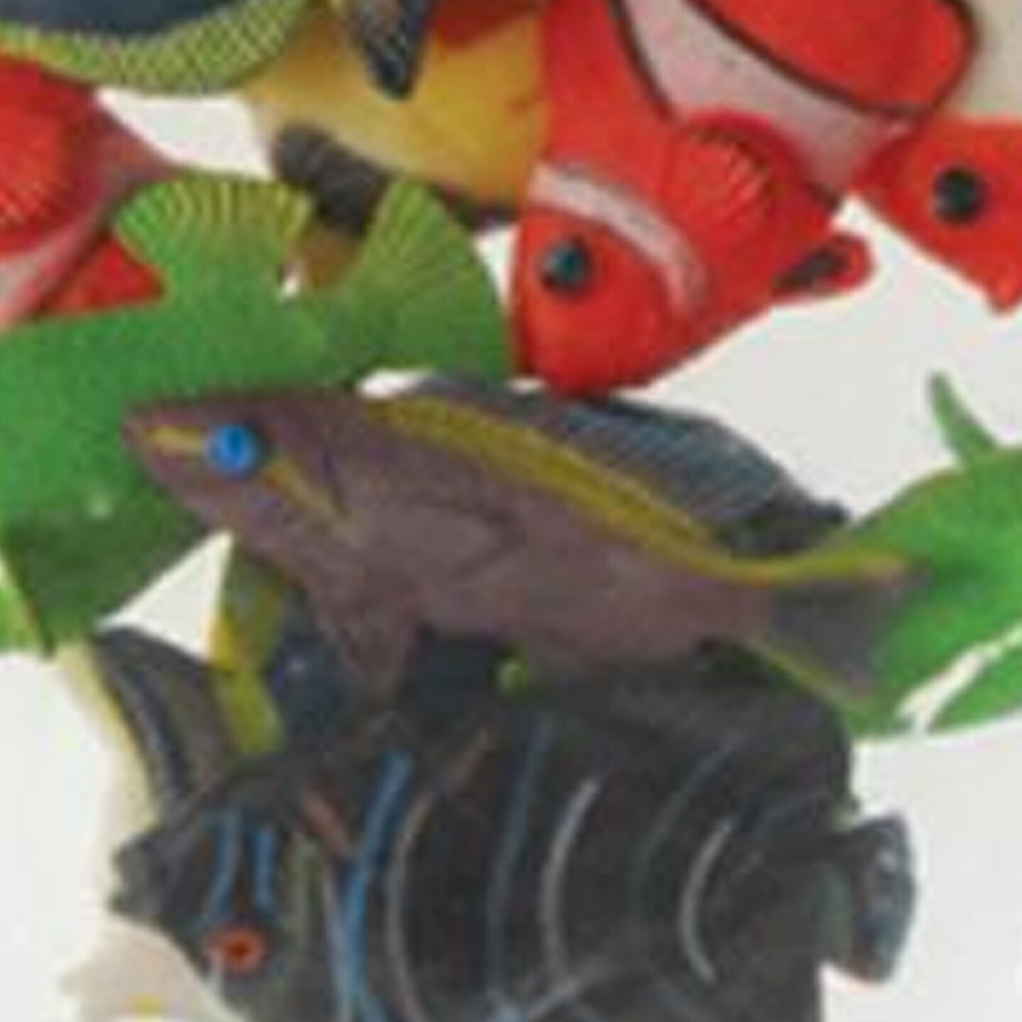 Mini Tropical Fishes Include 12 Units