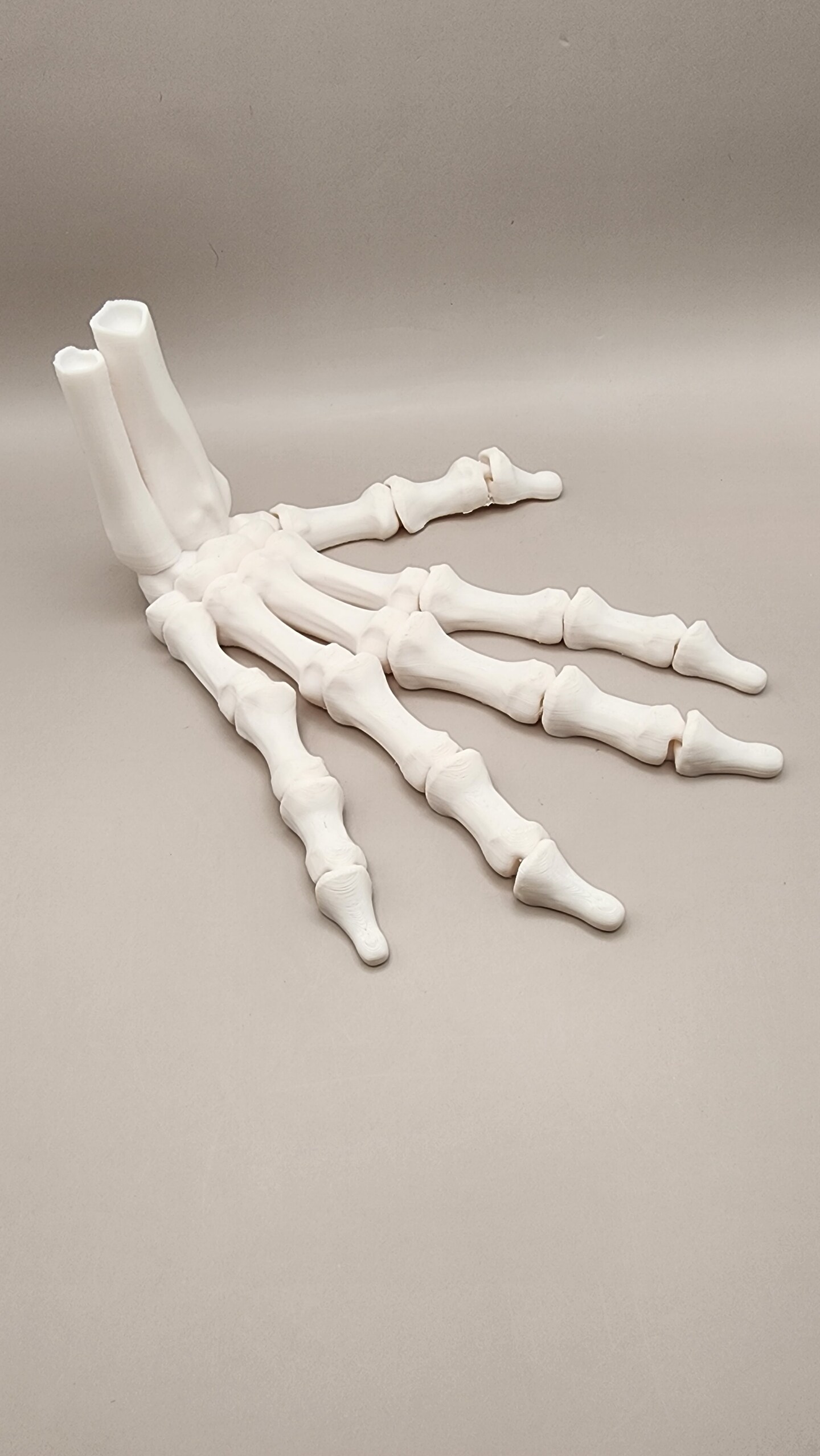 Skeleton Hand, Moveable Skeleton Hand, Halloween Skeleton Hand