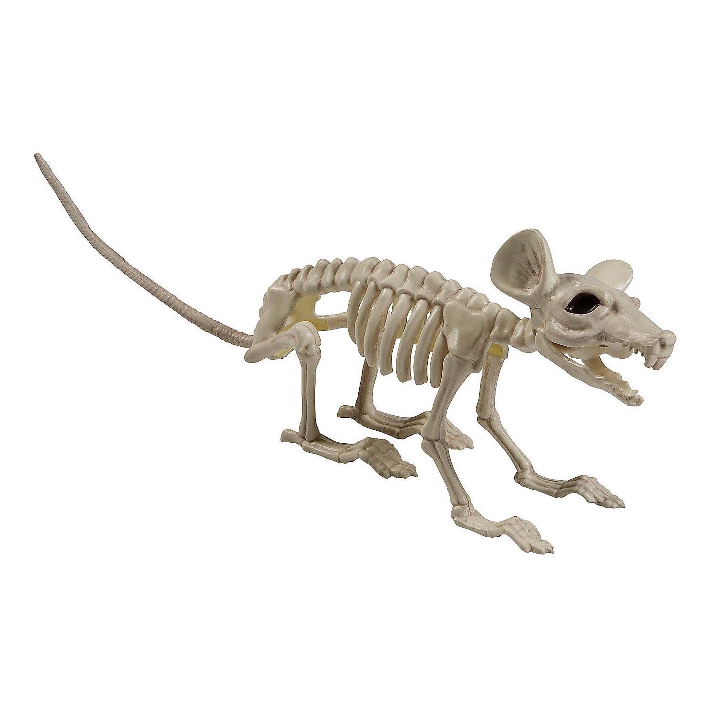 24&#x22; x 7&#x22; Rat Skeleton Plastic Halloween Tabletop Decoration