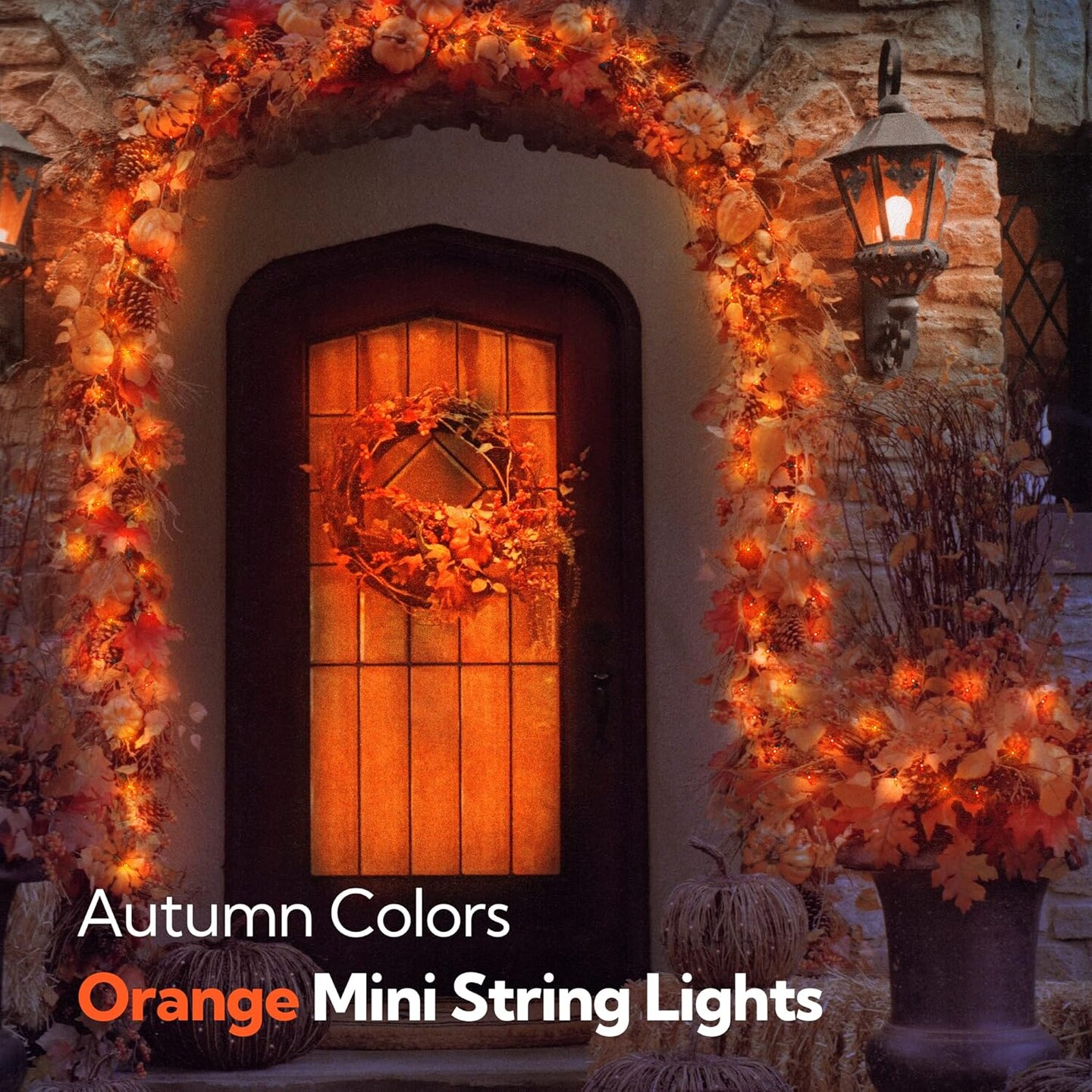 2 PACK - Orange Thanksgiving Mini Lights - Orange