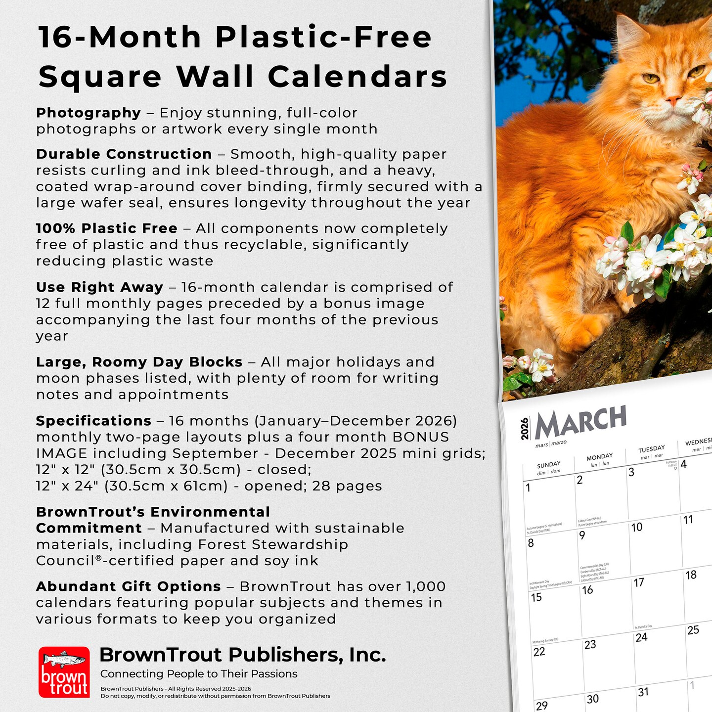 Cat Lovers | 2026 12 x 24 Inch (Hanging) Monthly Square Wall Calendar | Foil Stamped Cover | Plastic-Free