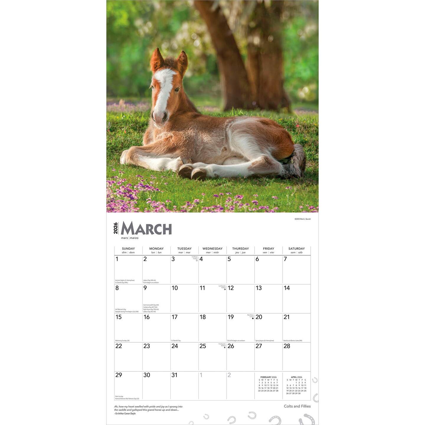 Colts and Fillies | 2026 12 x 24 Inch (Hanging) Monthly Square Wall Calendar | Plastic-Free