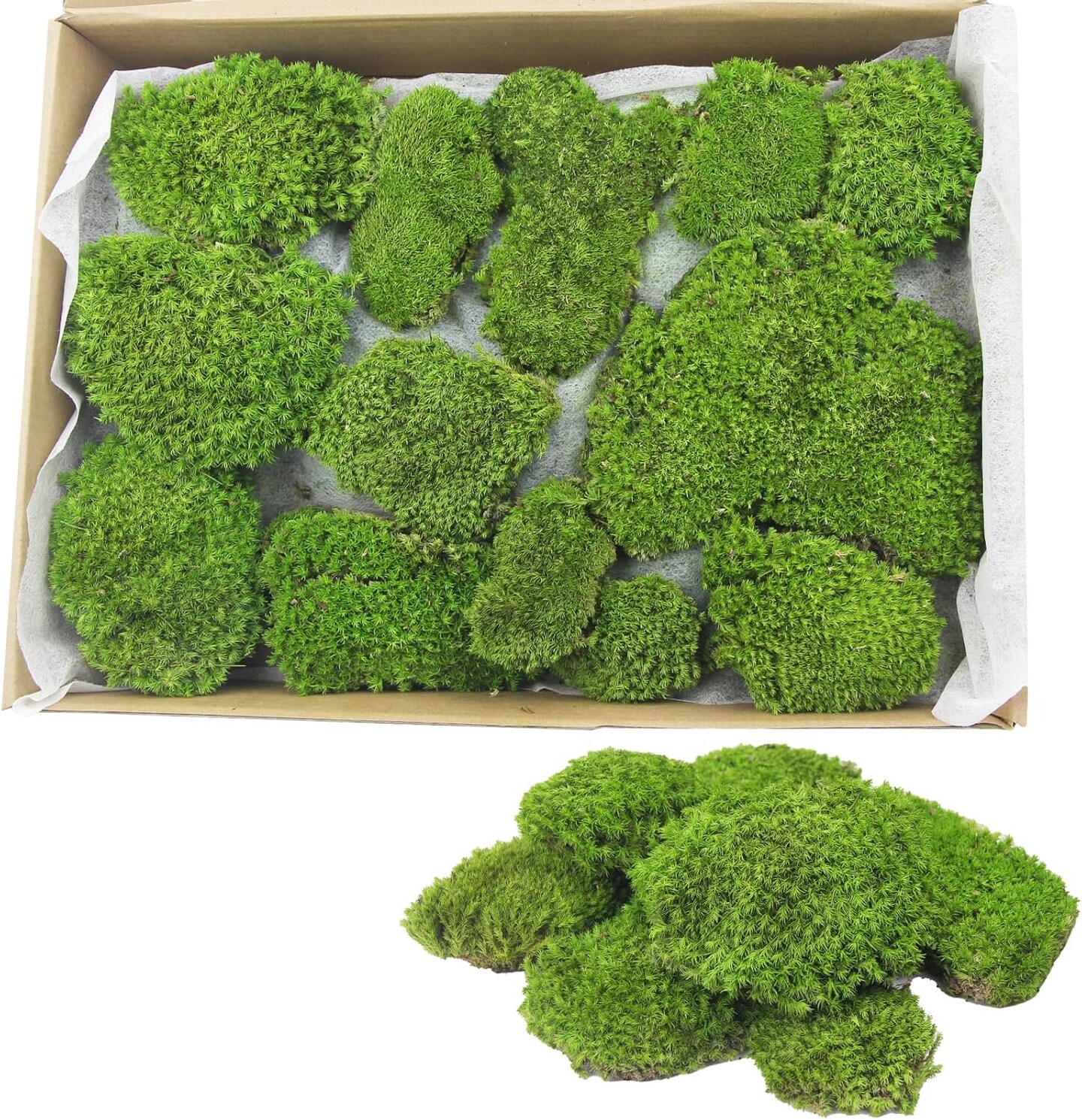 Preserved Moss Bulk Green Natural Preserved Pole Moss Pillow for Potted Plants 2.5 sq.ft Green Moss Balls for Bowls Wall Art Terrariums Crafts Fairy Gardens Easter Table Decor