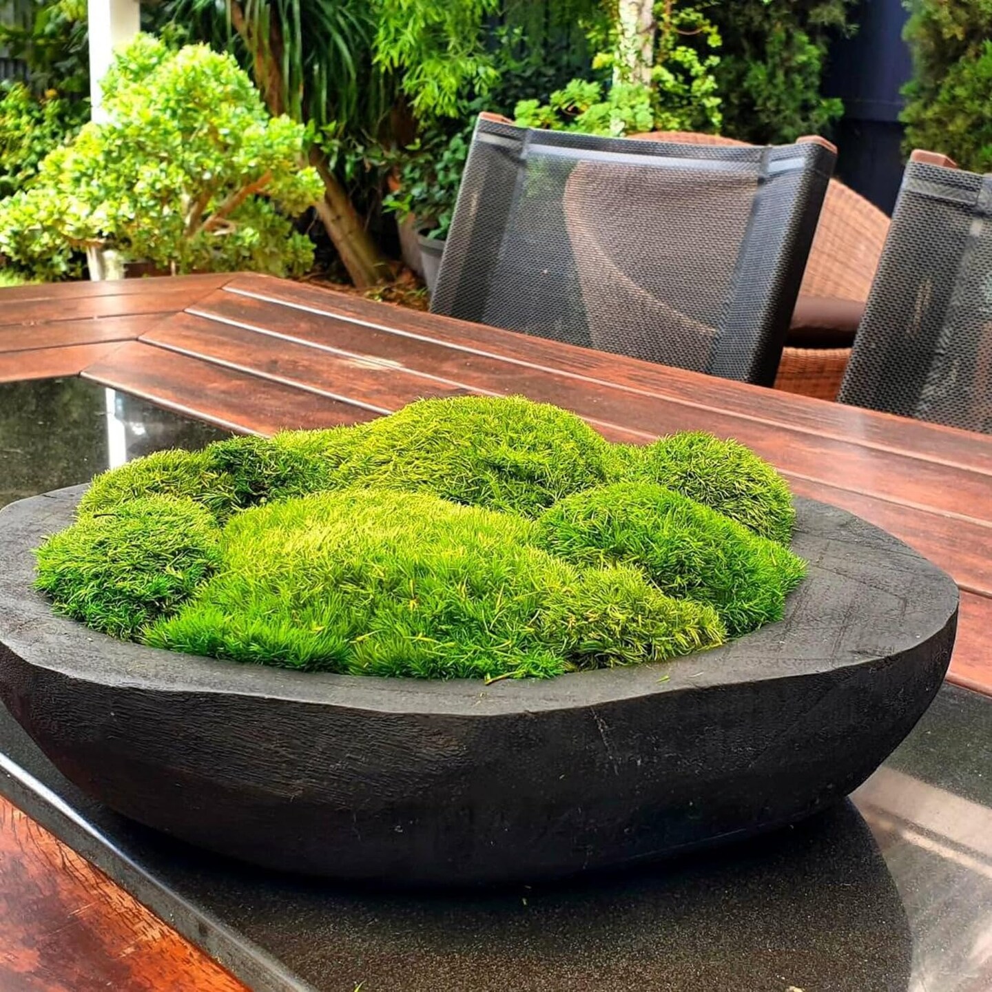 Preserved Pole Moss Pillow Bun Cushion Natural Green Decorative Real Natural Green DIY Kit Terrariums Gardenning Art Wall Decor Florist Decor Easter Table Wedding