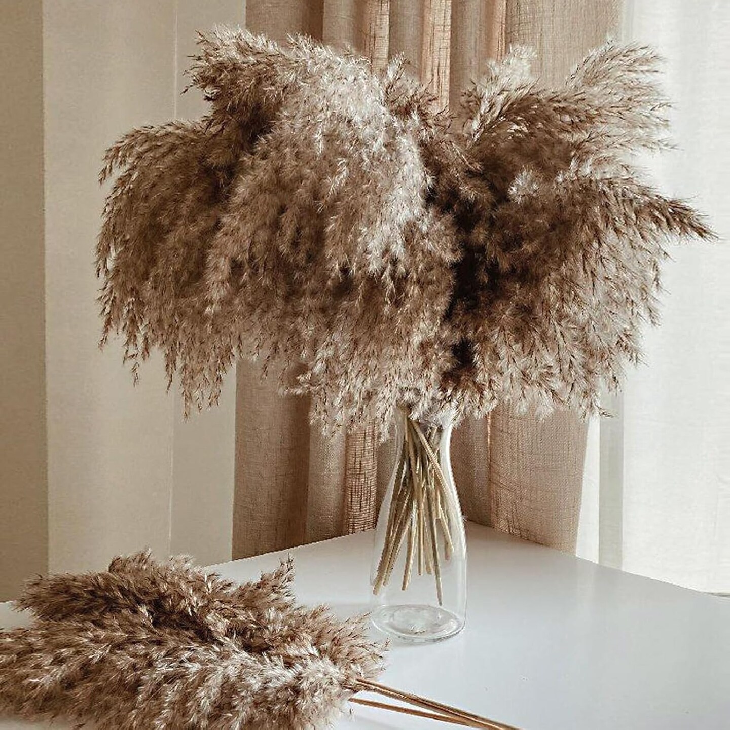 30 Stems Home Decor - Natural Dried Pampas Grass, Fluffy Brown Pompas Grass, Dry Small Pampas Bulk for Living Room Table Decor