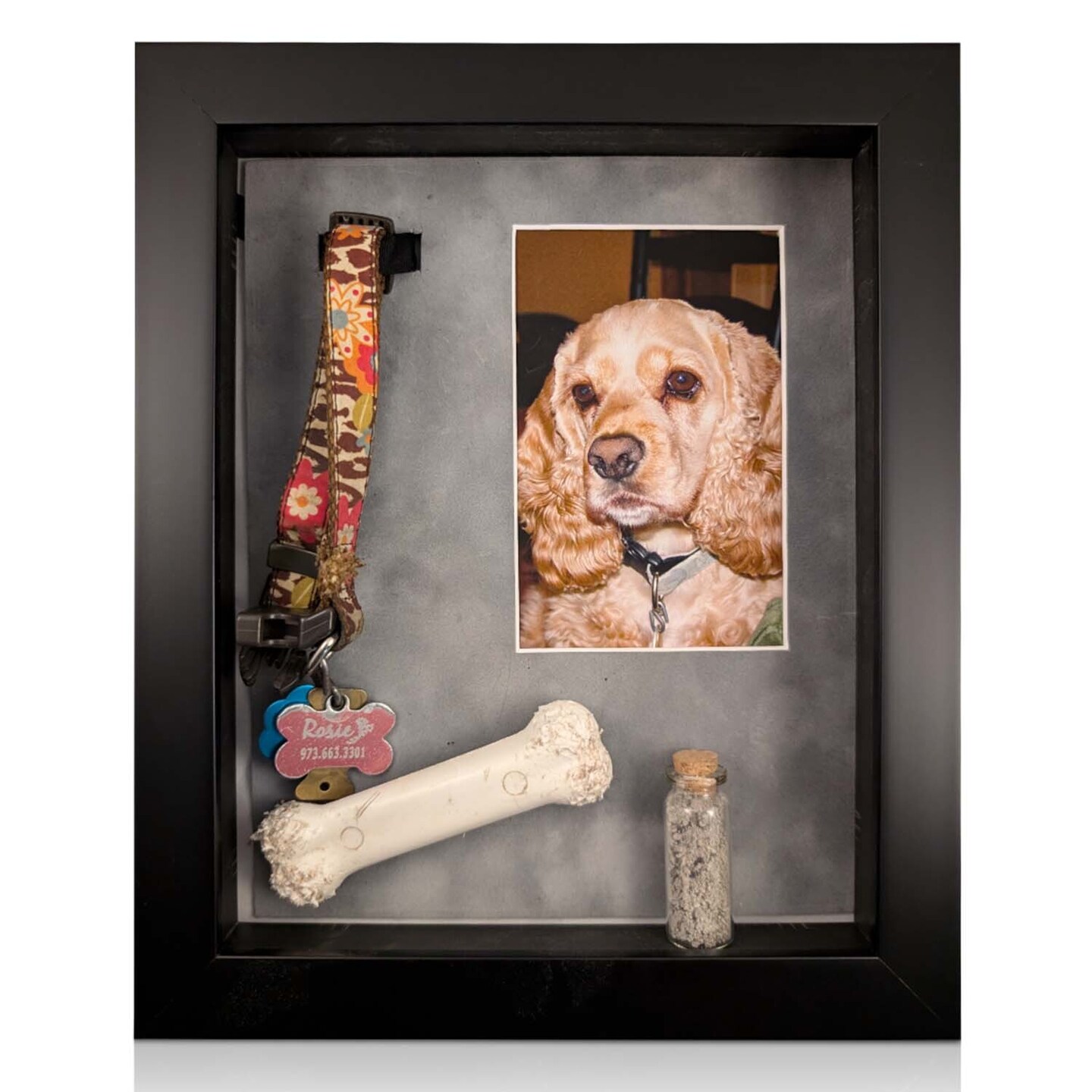 iFrame Pet Memorial Shadow Box and Pets Picture Frame for 4&#x22;x6&#x22; Photo | Pets Memorial Gifts for Pets Lover | Pet Collar, Pet Ashes Keepsake, Toys &#x26; Gift for Someone Who Lost A Pet | Made in USA