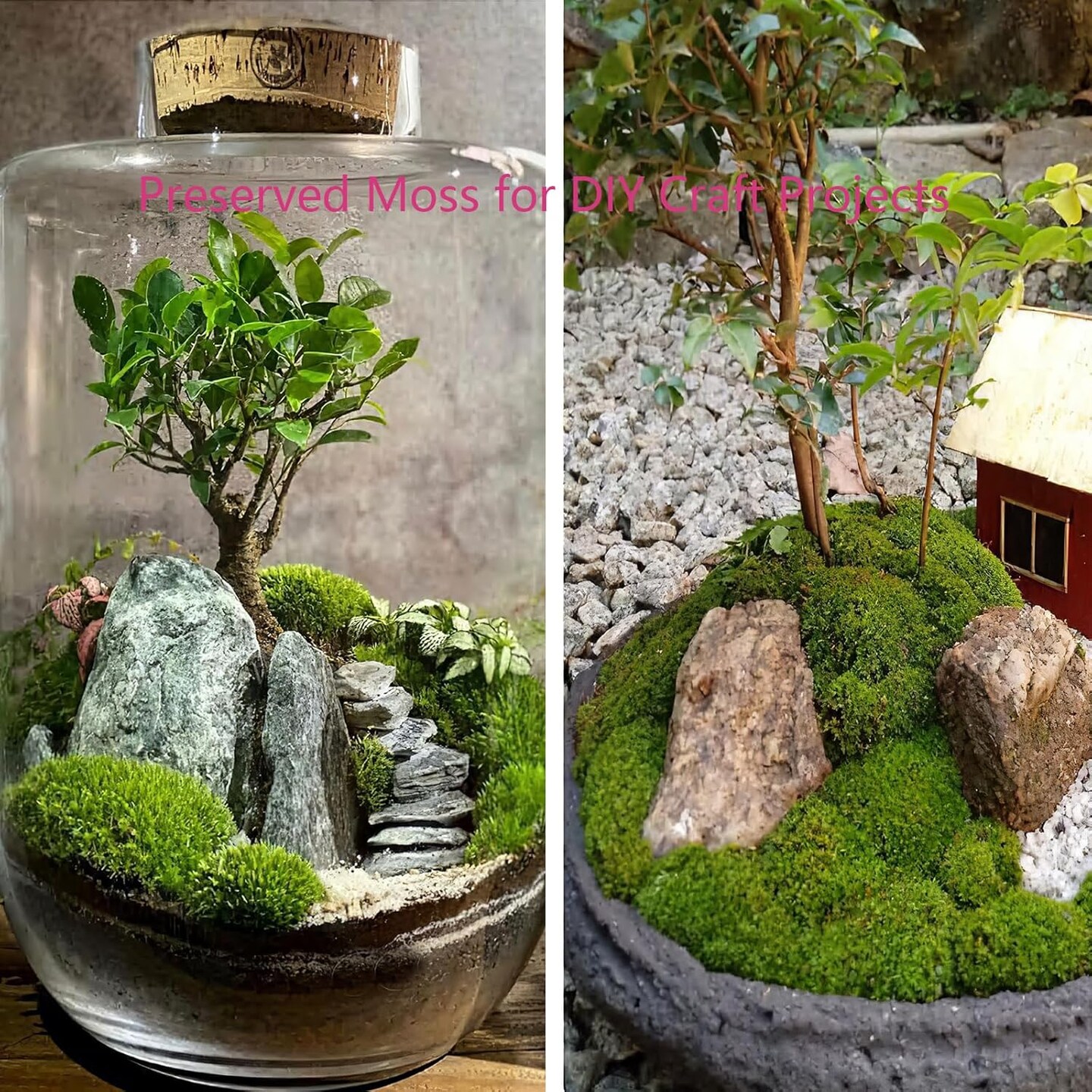 Preserved Moss Bulk Green Natural Preserved Pole Moss Pillow for Potted Plants 2.5 sq.ft Green Moss Balls for Bowls Wall Art Terrariums Crafts Fairy Gardens Easter Table Decor