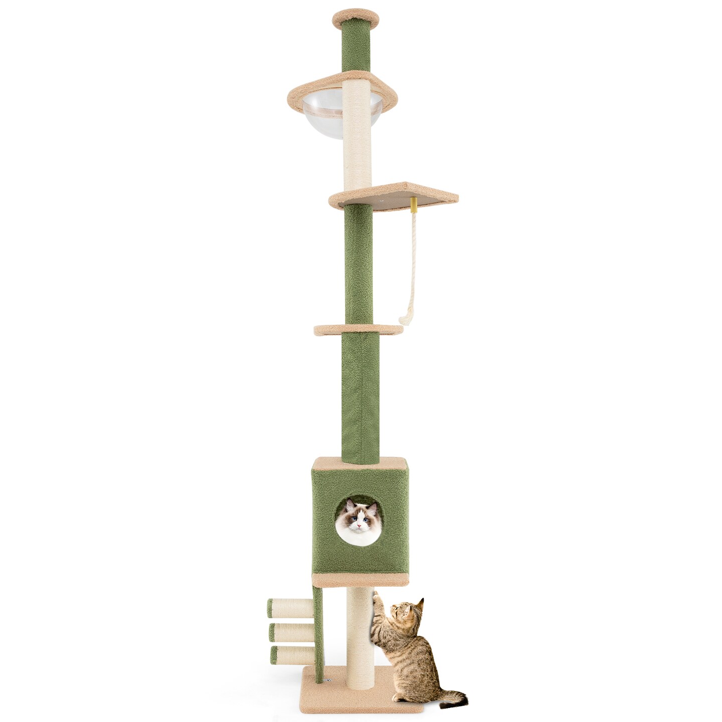 Adjustable Height Floor to Ceiling Cat Tree with 2 Full-Wrapped Sisal Scratching Posts and 3 Step Ladder
