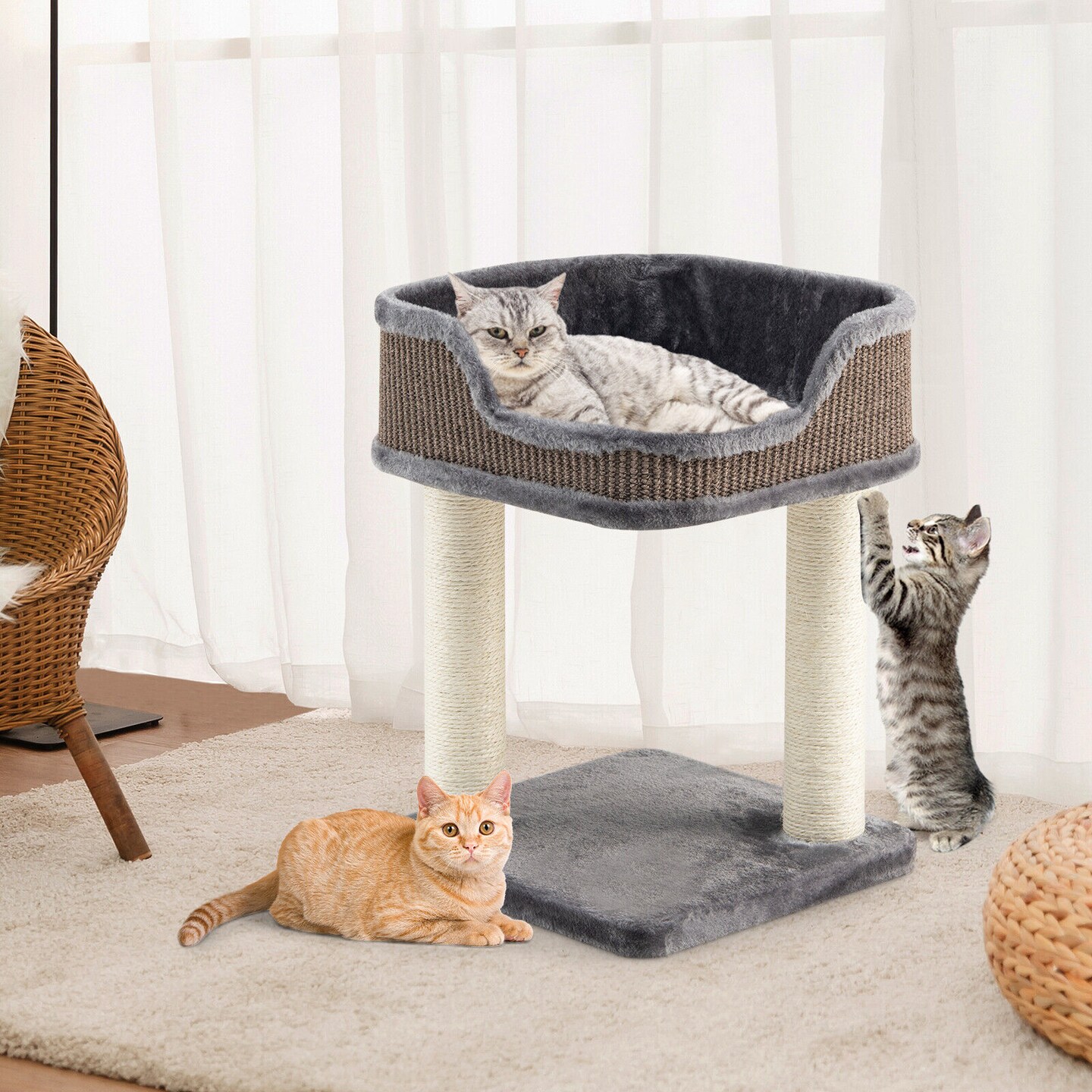 Grey Kitten Climbing Tree with Sisal Posts and Large Plush Perch Ideal for Indoor Cats