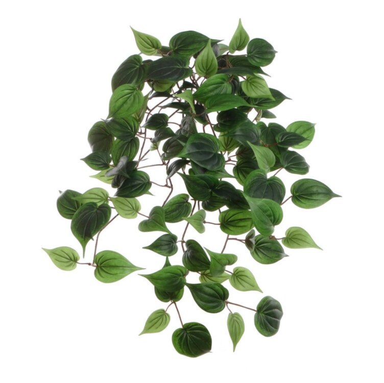 fluval plant 3.0 Fluval