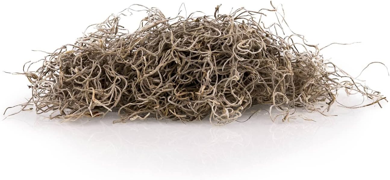 Premium Natural Spanish Moss | Natural Preserved - Great Ground Cover - Filler for Potted Plants