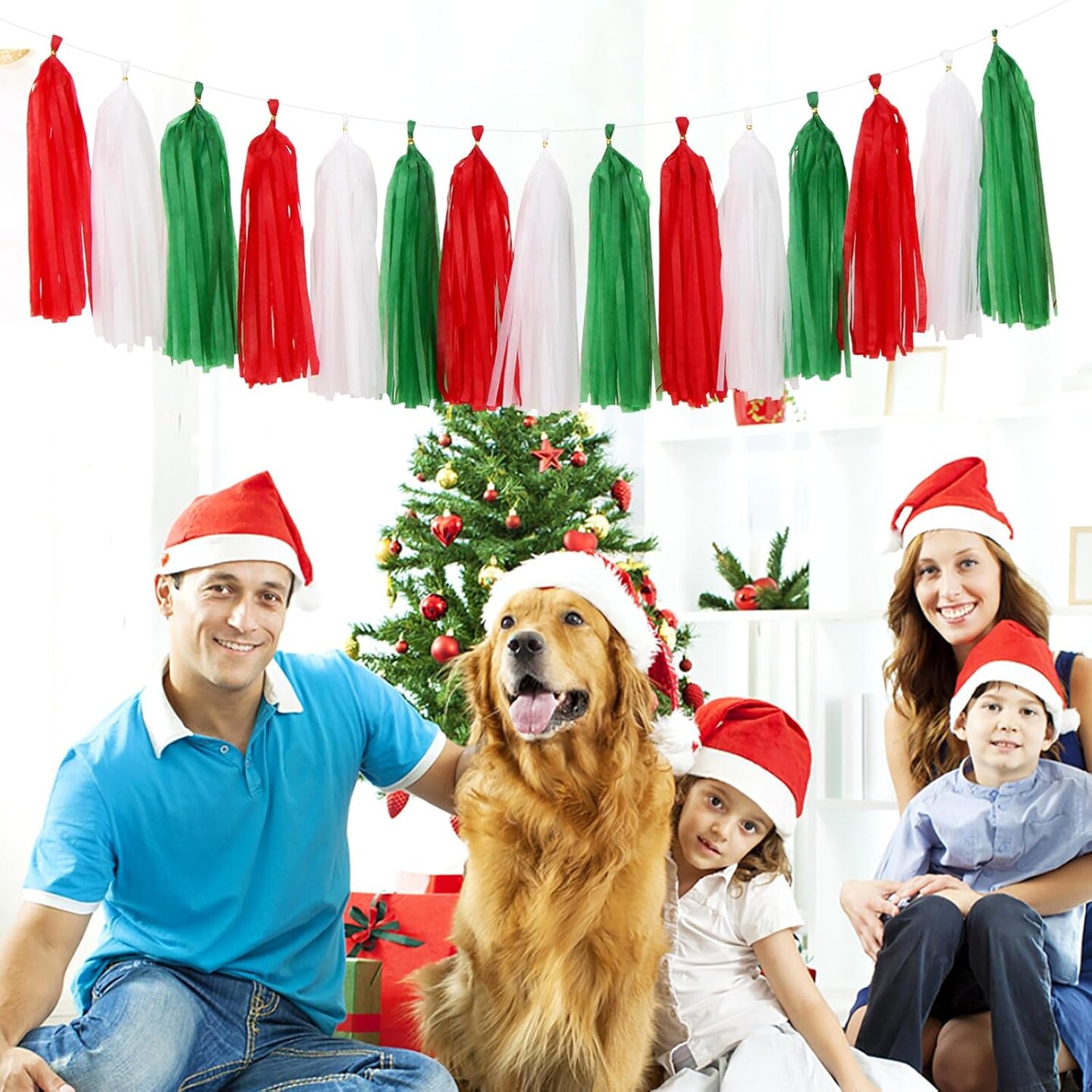 Red-Green White Christmas Party-Decorations - 33pcs Banner,Mexico Italy Streamers Tassel Garland,Tissue Pom Poms Honeycomb,Paper Lantern Fans,Mexican Italian Birthday Wedding Baby Shower Decor