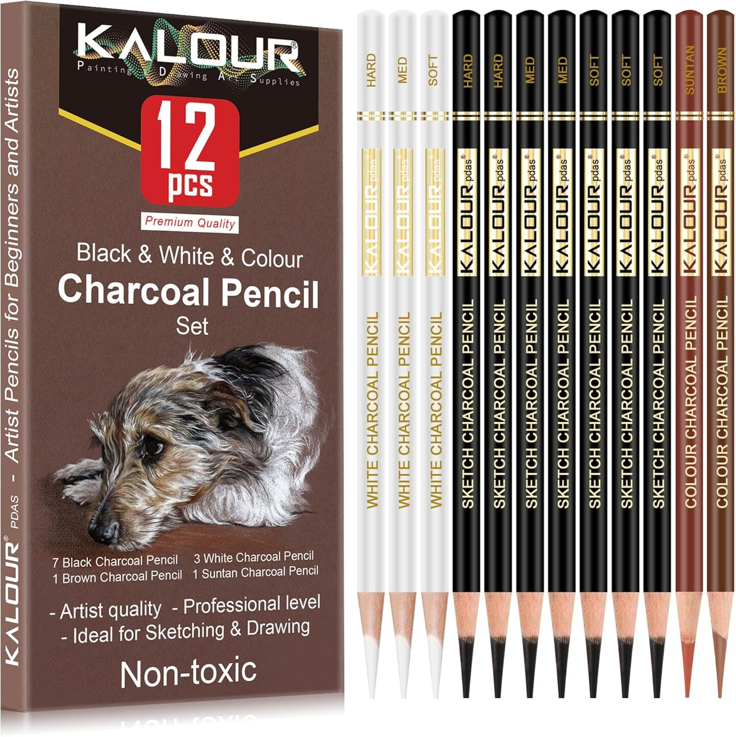 12-Piece Pro Colored Charcoal Set – Pastel Chalk Pencils for Sketching & Shading