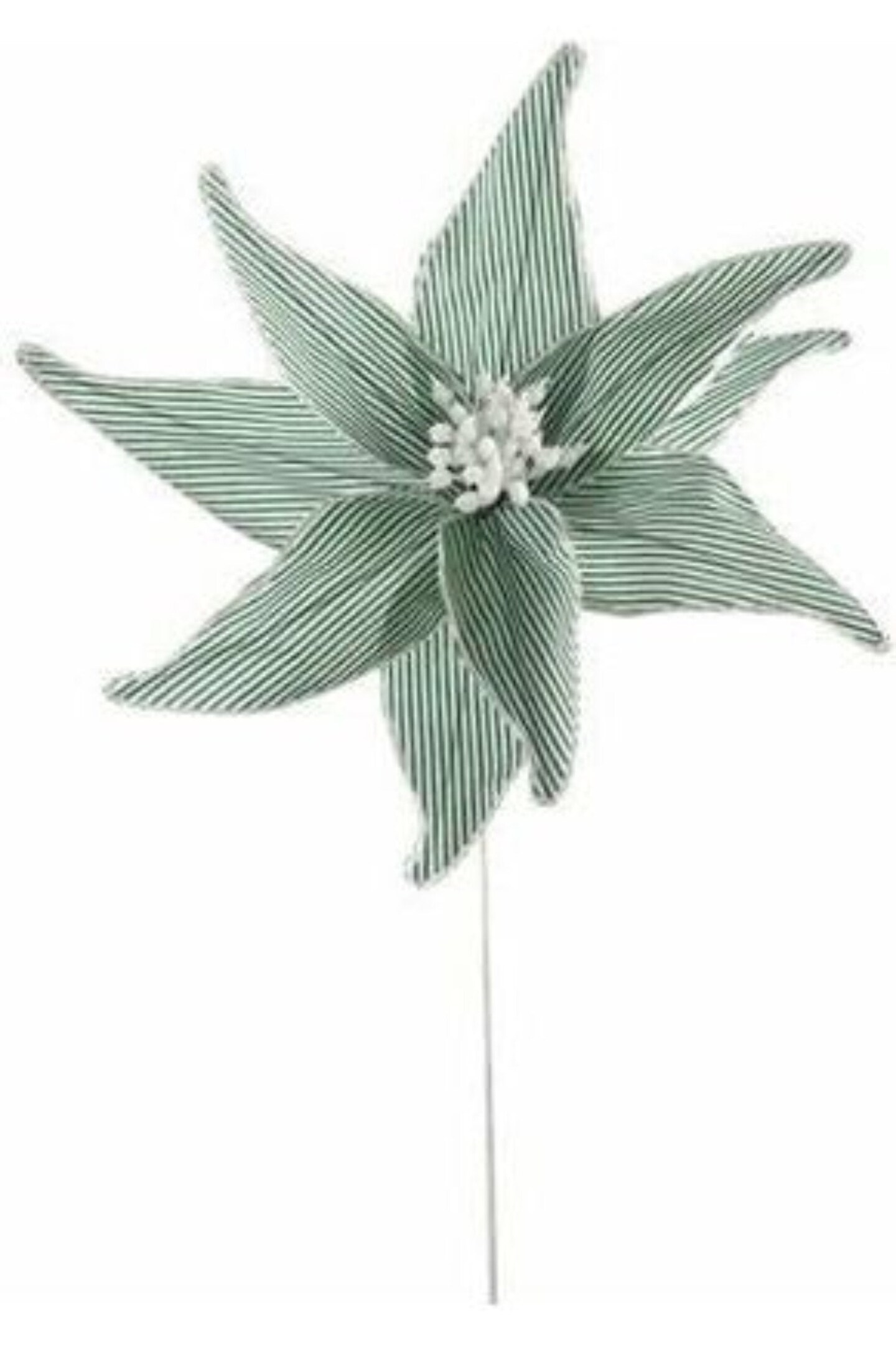 20&#x22; Canvas Striped Poinsettia: Dark Green