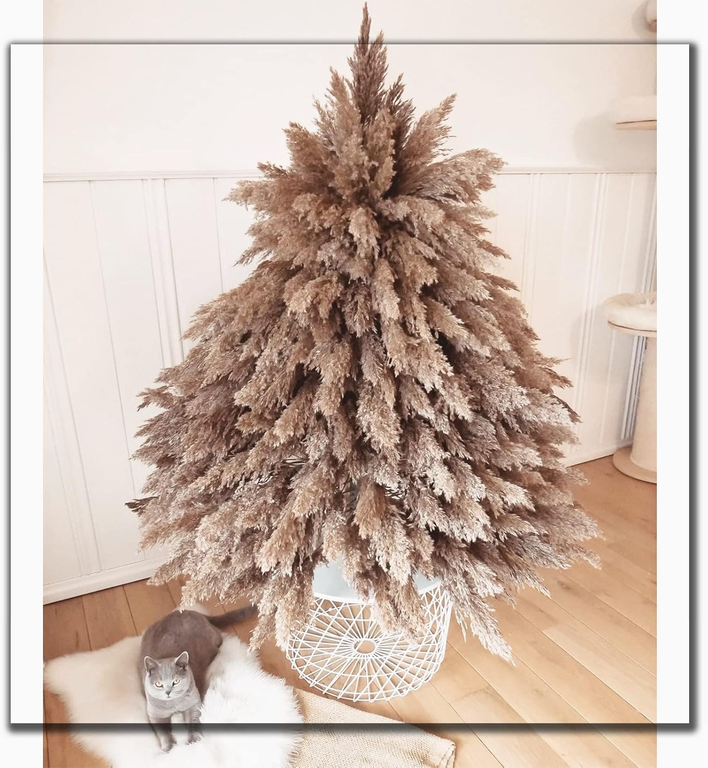 20 Pcs 23 Inch Tall Fluffy Pampas Grass XL Size Brown Dry Pompous Grass Decor Wedding Flower Boho Decor Natural Pompas Flower Bouquet