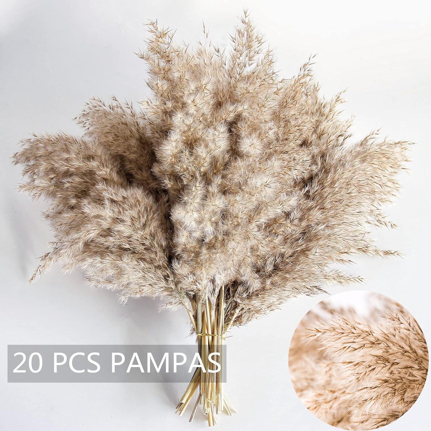 Pampas Grass Decor, Natural Dry Pampas Grass Small, Short Pampass Bulk for Farmhouse, Wall, Kitchen, Bedroom Decor, Office Decor