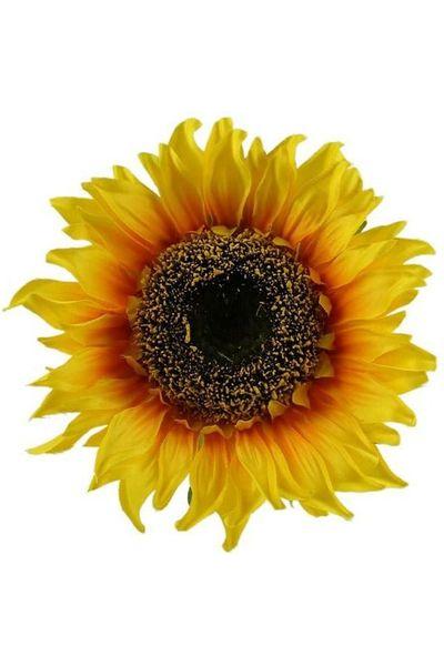 11&#x22; Sunflower Head