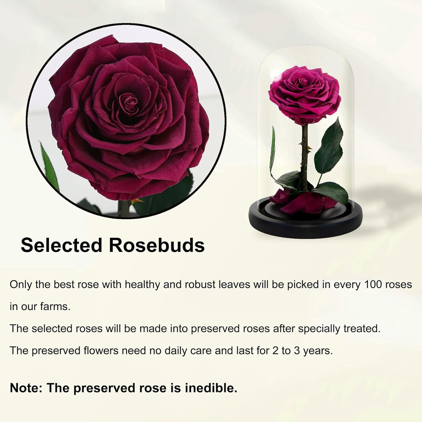 Handmade Preserved Roses in Glass Dome, Long Lasting Pink Roses Real, Flowers for Women
