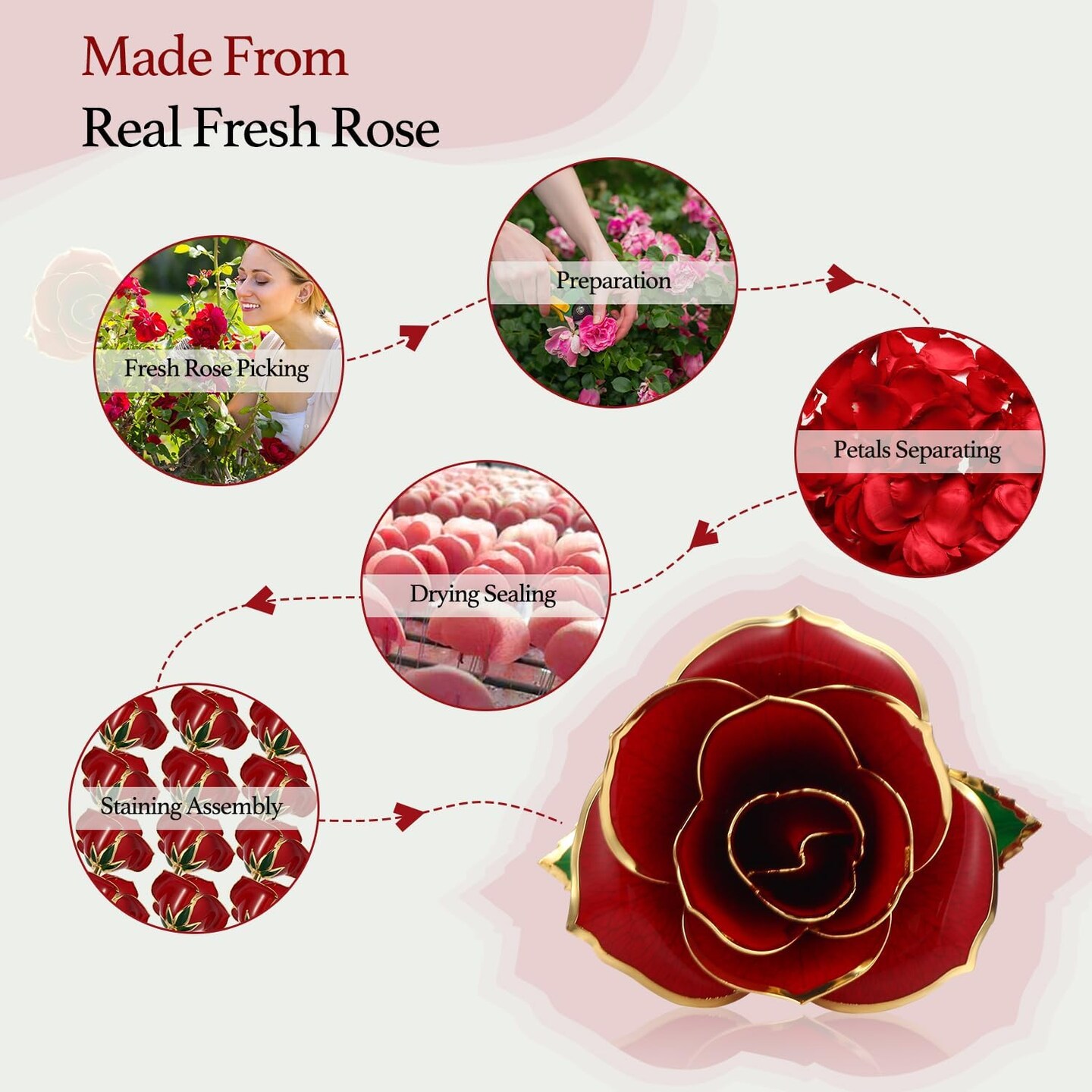 Gold Dipped Rose 24k Red Gold Plated Rose - Everlasting Long Stem Real Rose Exquisite Holder, Romantic Gift for Valentine&#x27;s and Mother&#x27;s Day, Gfts for Her Anniversary