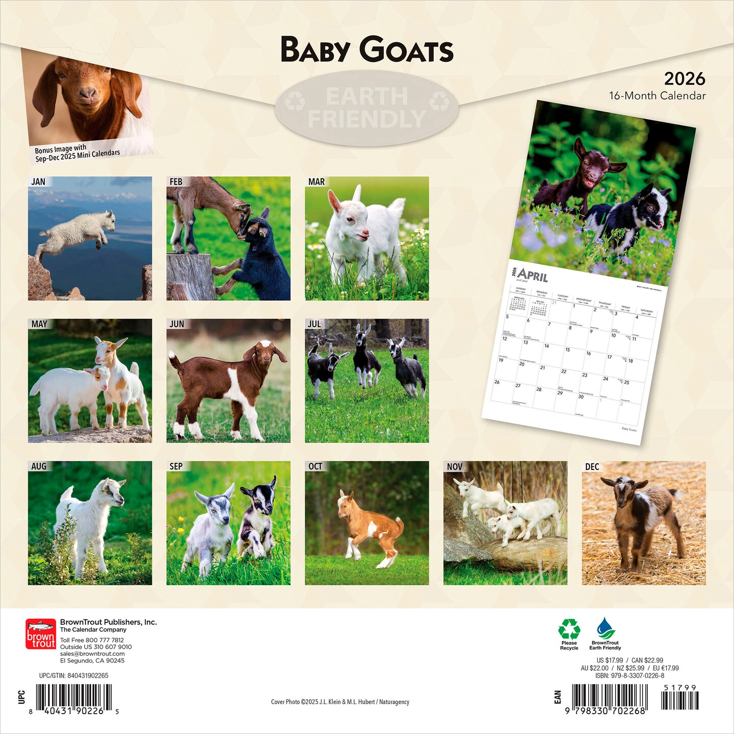 Baby Goats | 2026 12 x 24 Inch (Hanging) Monthly Square Wall Calendar | Plastic-Free | BrownTrout | Domestic Animals