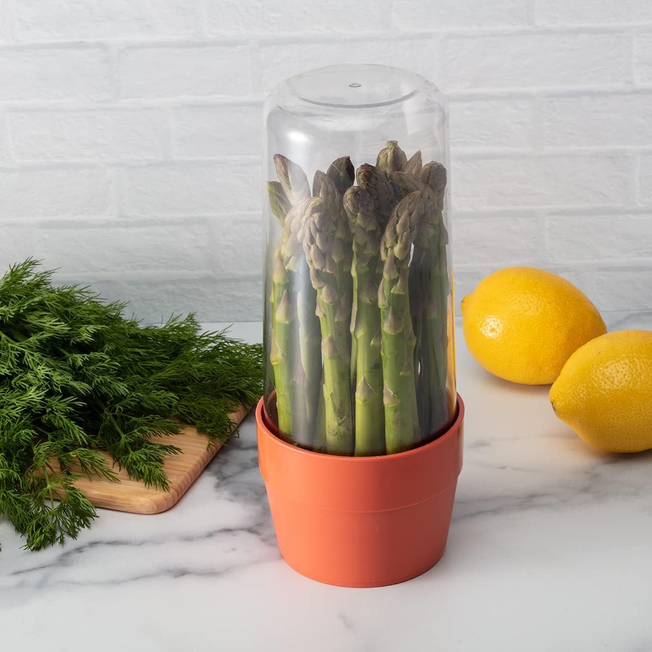 Hutzler Herb Saver Storage Container - Keep Asparagus and Herbs Fresh Longer