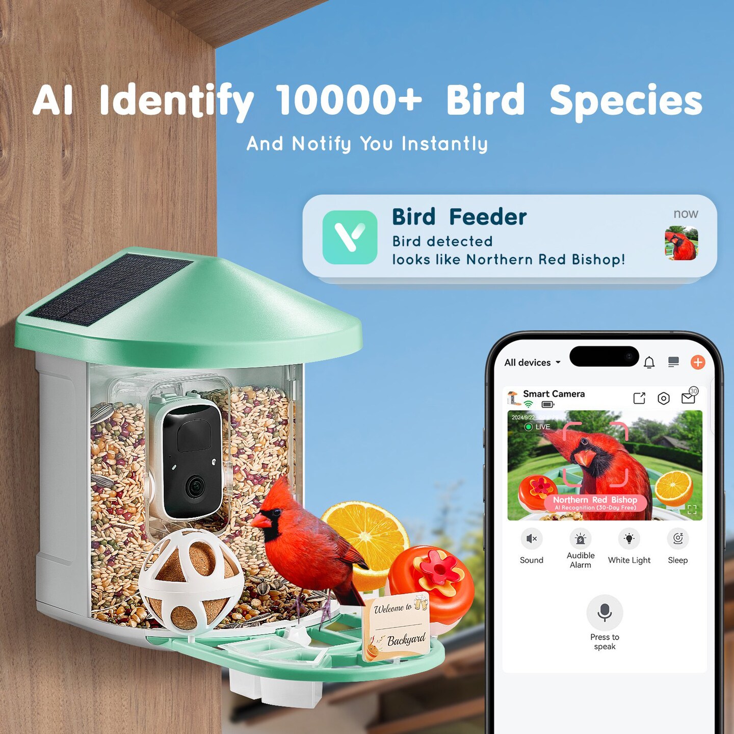 Green AI Smart Bird Feeder with 2K Camera, Solar Panels and 2L Food Container