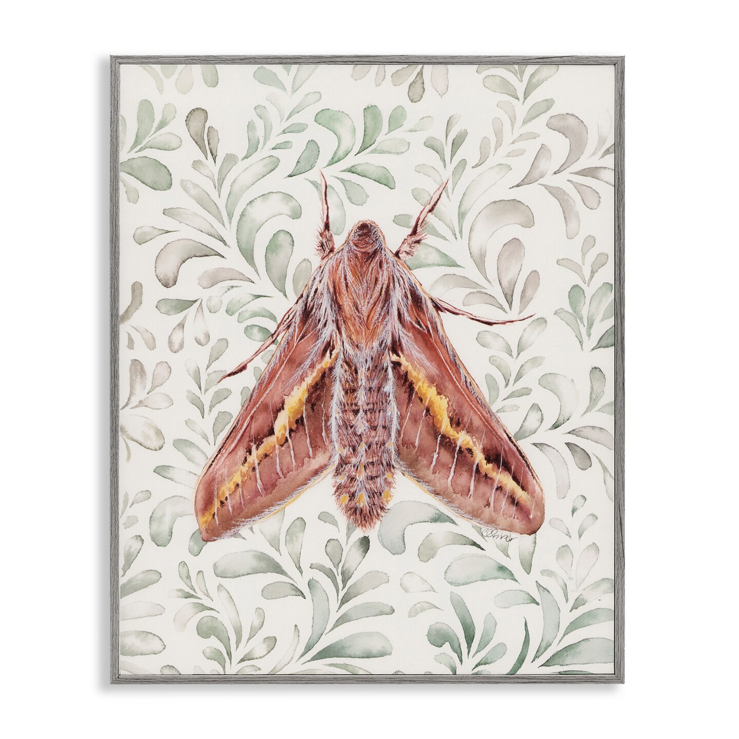 Stupell Industries Moth Over Leaf Sprigs Framed Giclee, design by Cady Driver