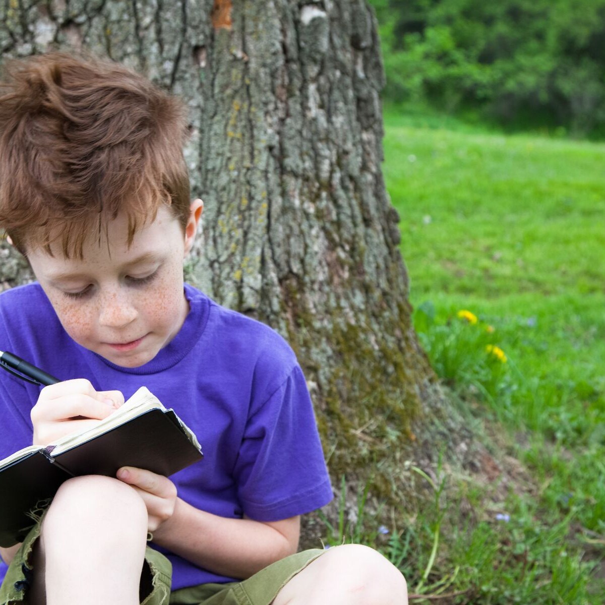 Create a Summer Reading Journal & Bookmark