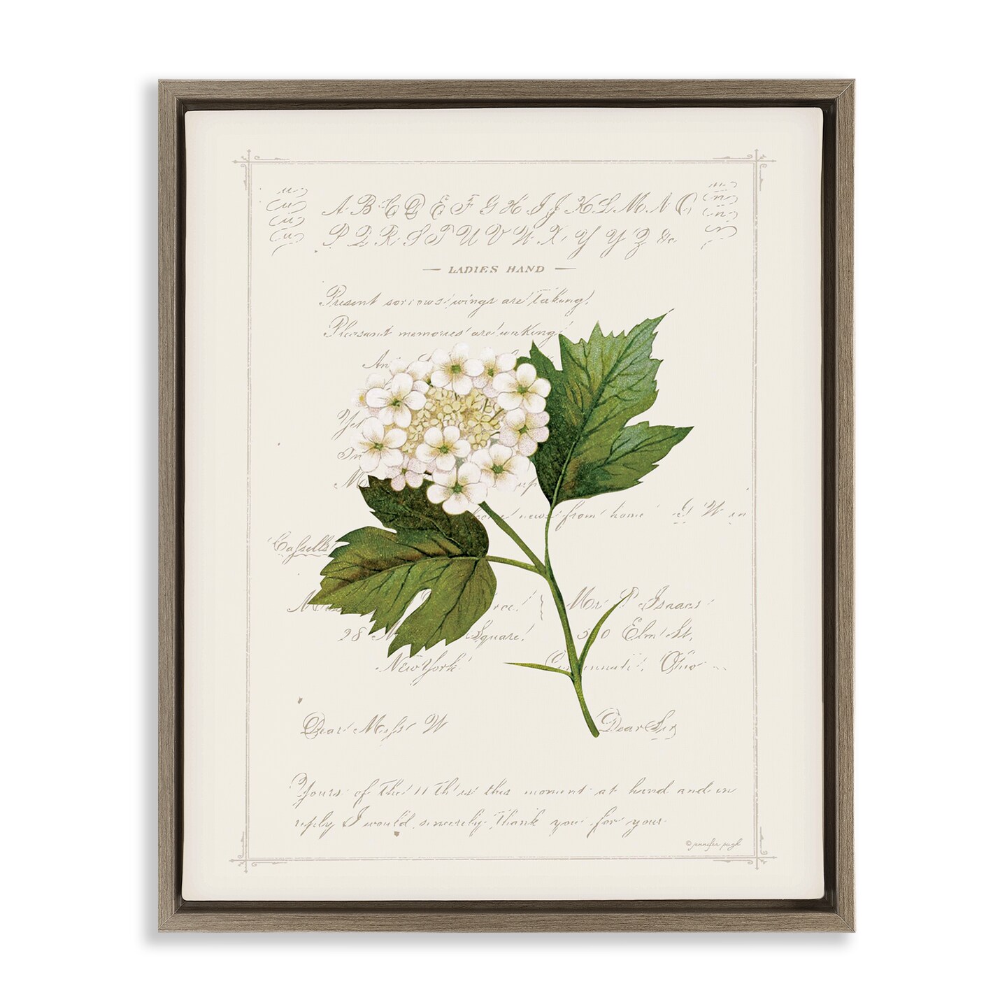Stupell Industries Vintage Florals And Script Floating Frame By Jennifer Pugh