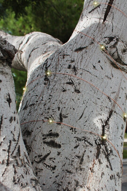 Energy-Saving Solar Fairy Lights, 200 LEDs on Copper Wire