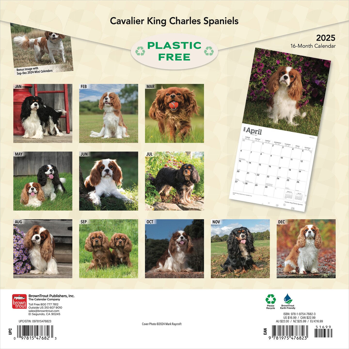 Cavalier King Charles Spaniels | 2025 12 x 24 Inch Monthly Square Wall Calendar | Plastic-Free | BrownTrout | Animals Dog Breeds Puppies