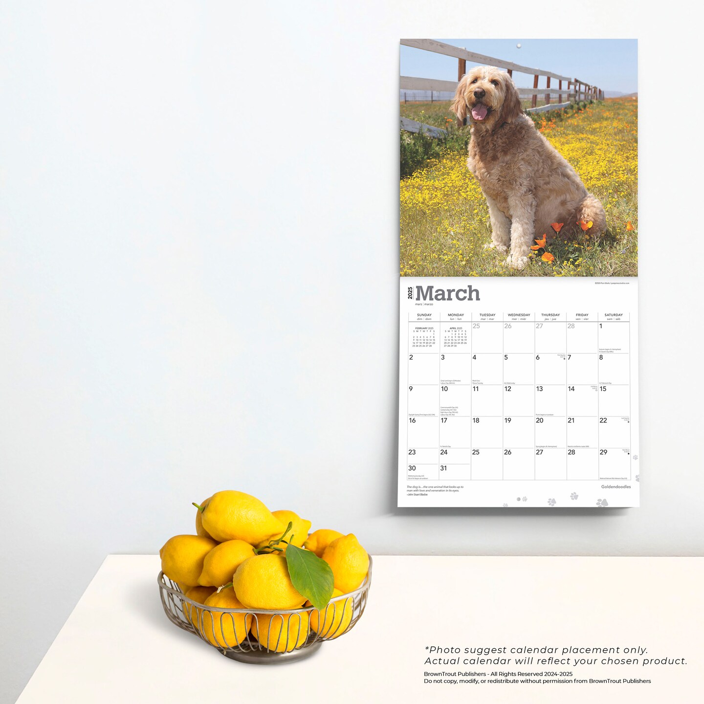 Goldendoodles | 2025 12 x 24 Inch Monthly Square Wall Calendar | Plastic-Free | BrownTrout | Animals Mixed Dog Breeds