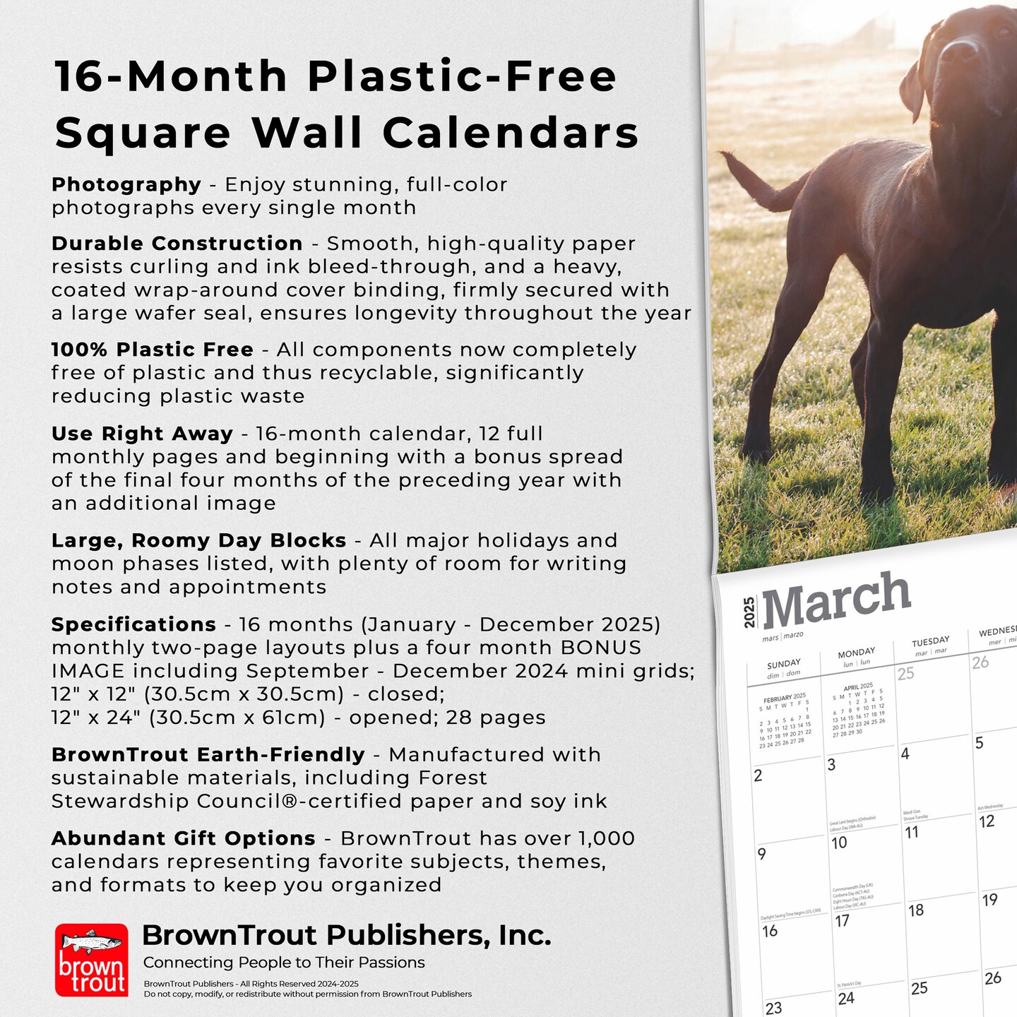 Black Labrador Retrievers | 2025 12 x 24 Inch Monthly Square Wall Calendar | Plastic-Free | BrownTrout | Animals Dog Breeds