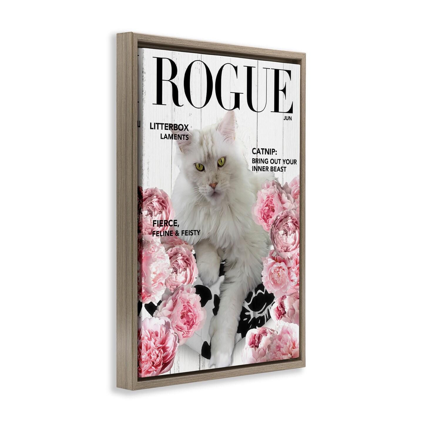 Stupell Industries Funny Floral Cat Magazine Floating Frame, design by Sasha