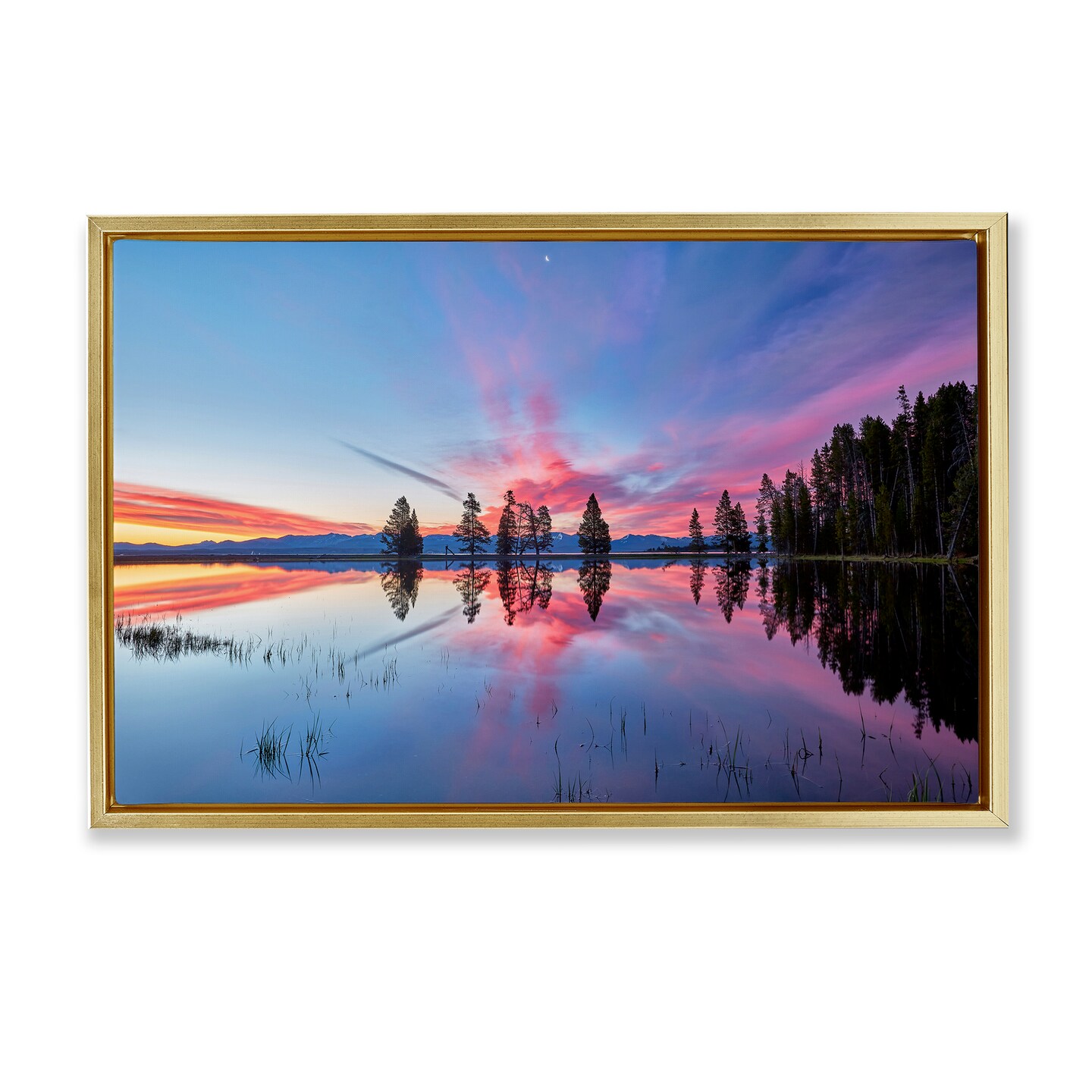 Stupell Industries Gull Point At Sunrise Floating Frame, design by Jon Evan