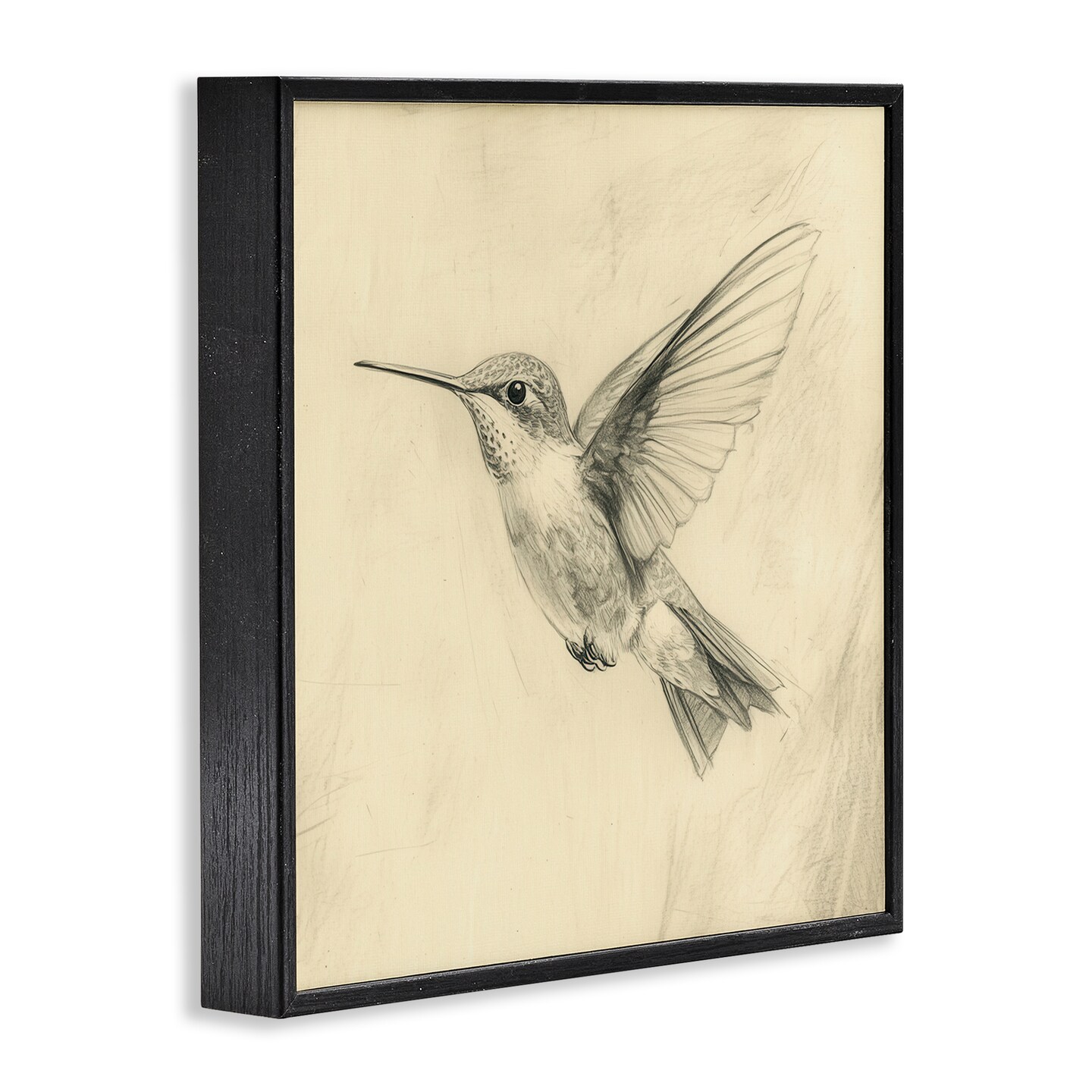 Stupell Industries Vintage Hummingbird Sketch Framed Giclee, design by Petal Prints Design
