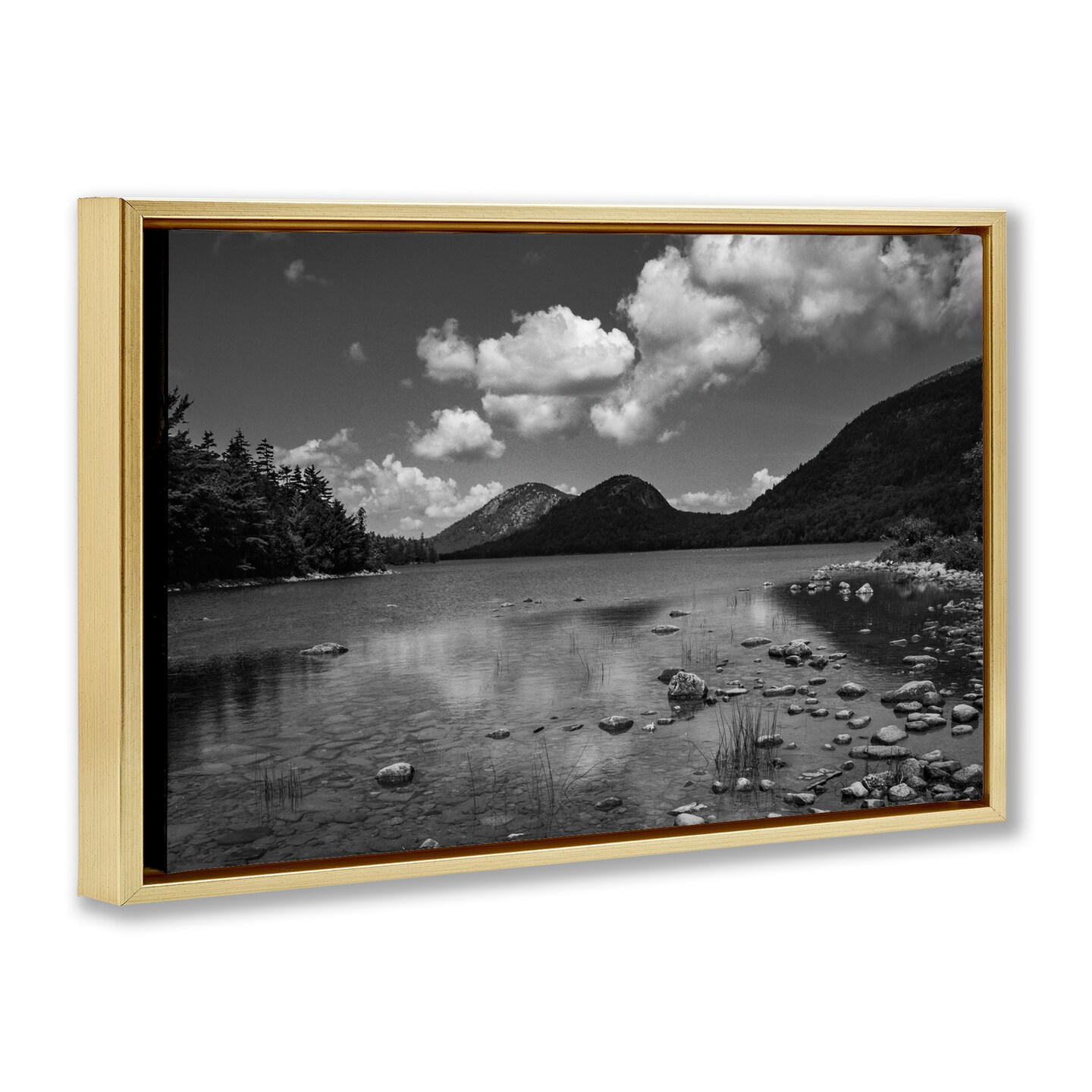 Stupell Industries Cloudy Mountain In The Distance Floating Frame, design by James Rodewald