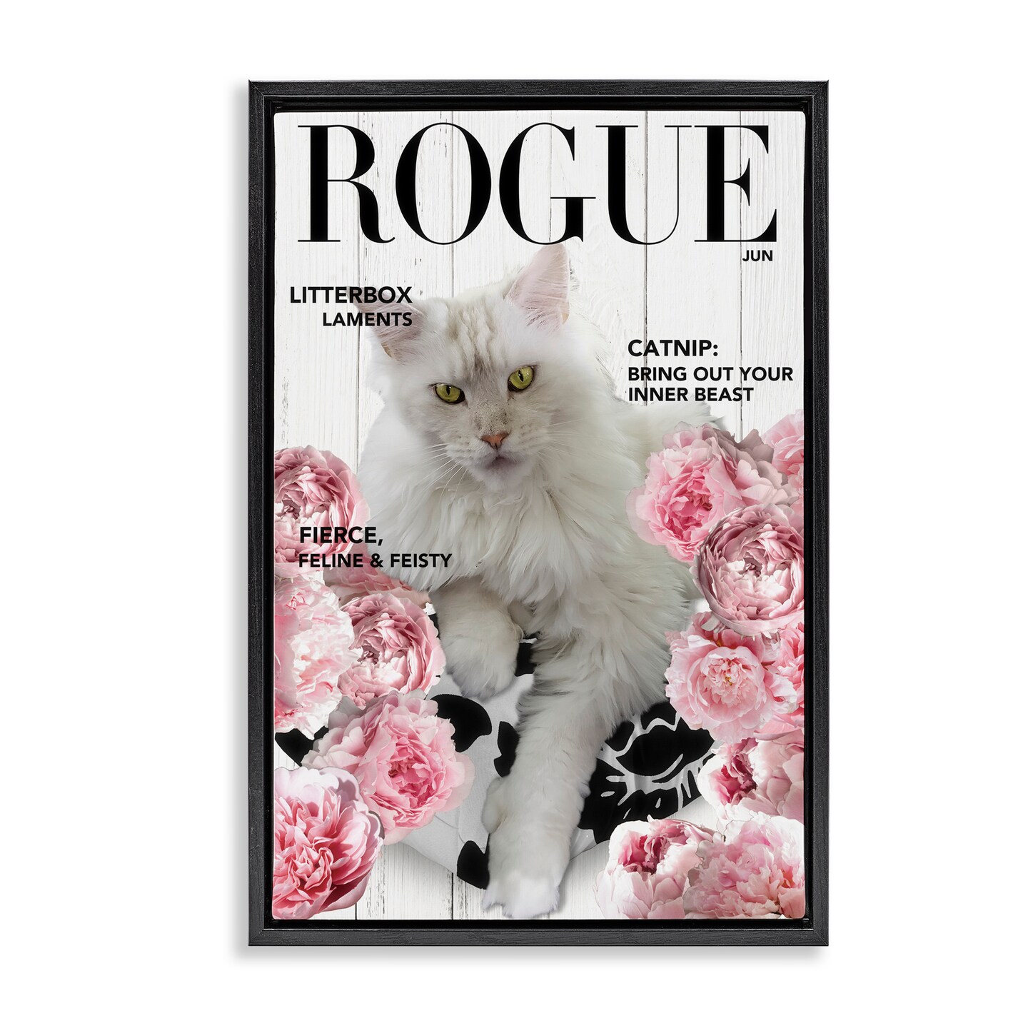 Stupell Industries Funny Floral Cat Magazine Floating Frame, design by Sasha