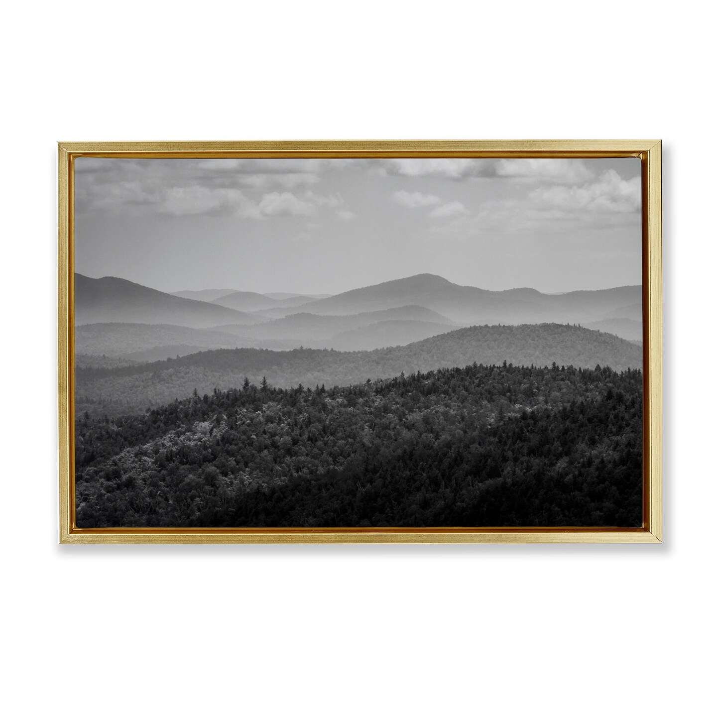 Stupell Industries Misty Adirondack Mountains Floating Frame, design by James Rodewald