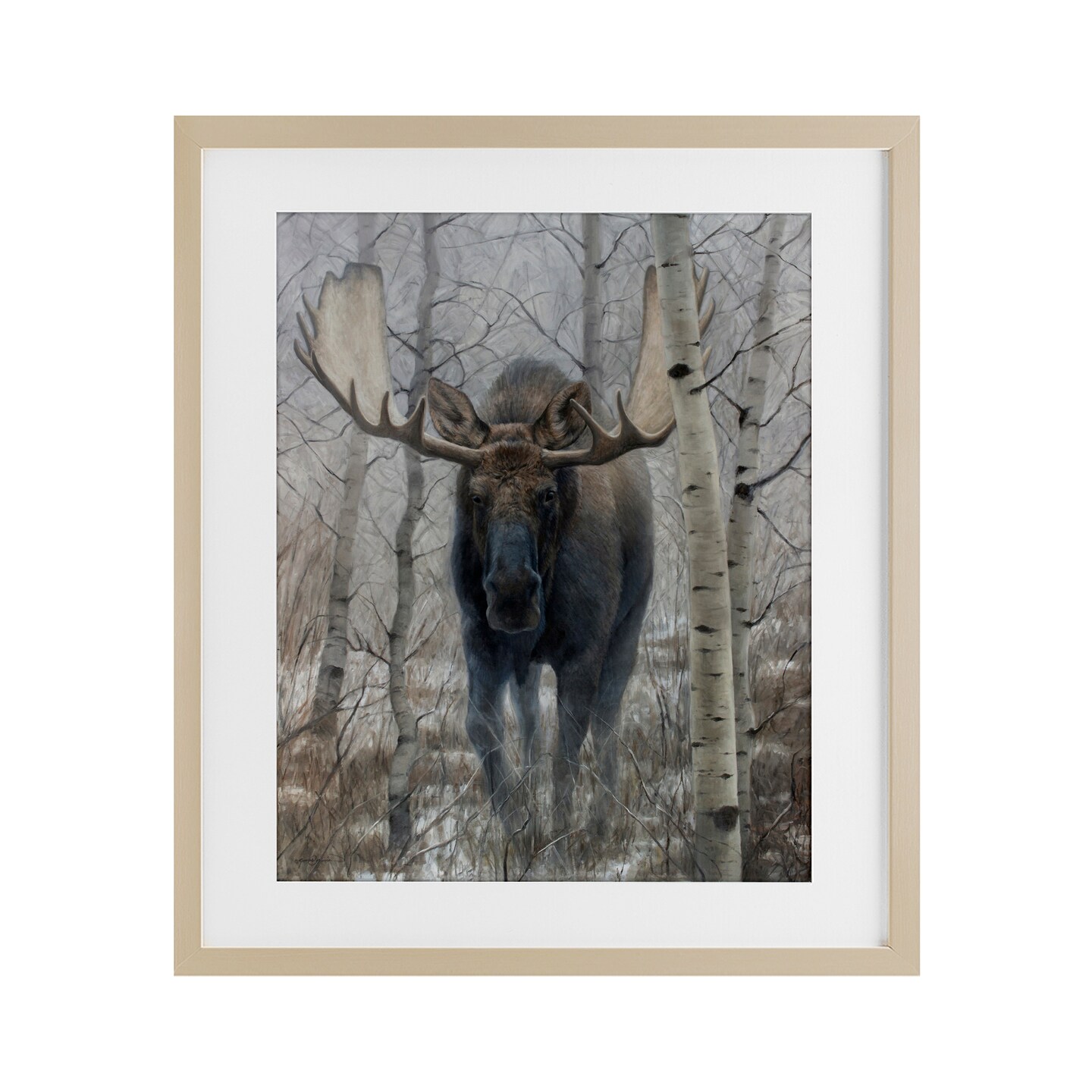 Stupell Industries Moose in Winter Birch Forest Framed Print Under Glass, design by James Corwin