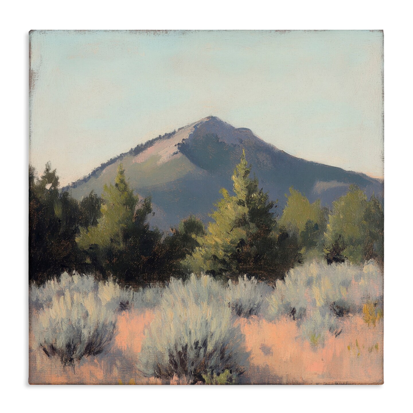 Stupell Industries Tucson Mountain Landscape Canvas, design by Petal Prints Design
