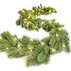 Realistic Spruce Cypress for Table Centerpiece