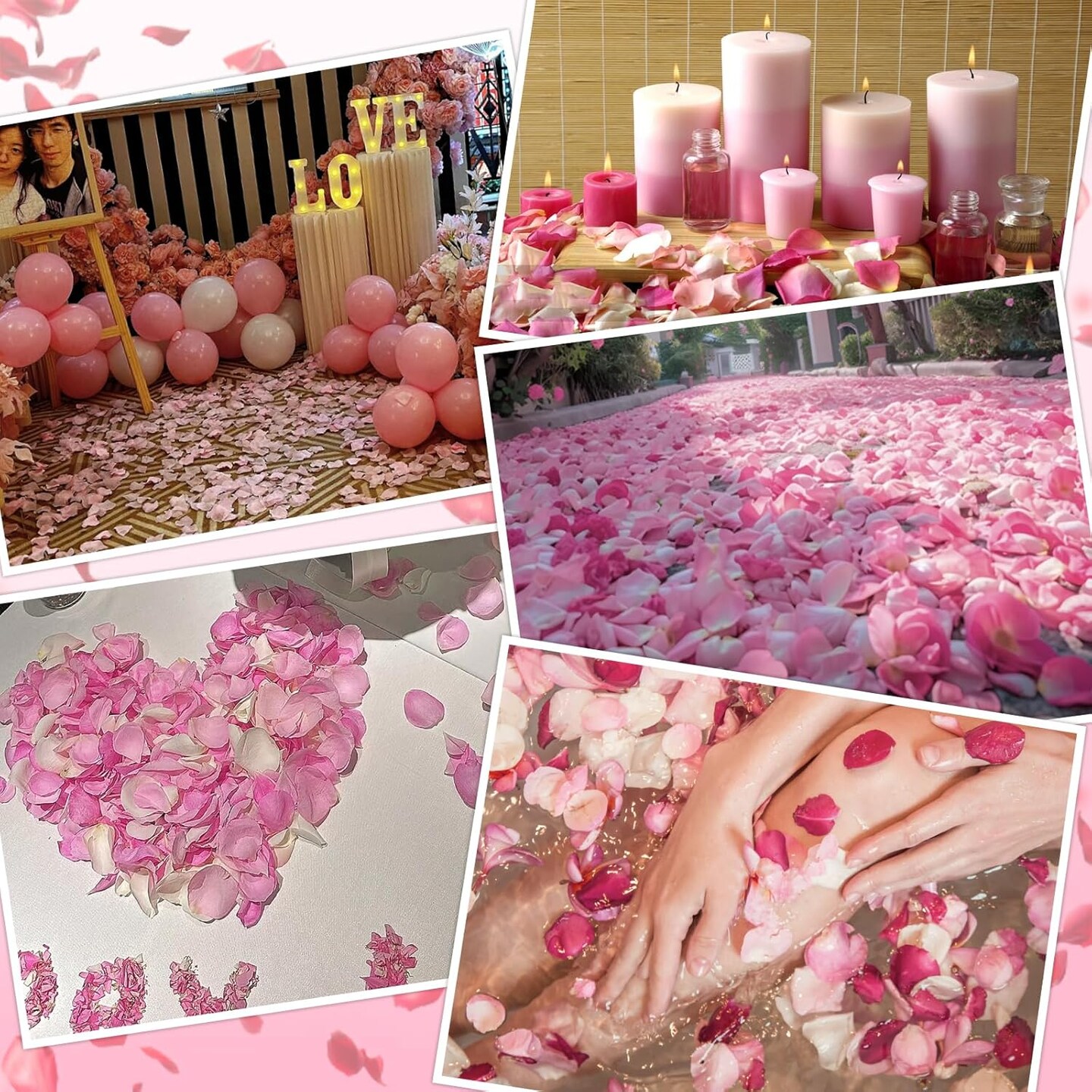 240 PCS Real Pink White Rose Flower Petals Confetti for Wedding Flower Girl