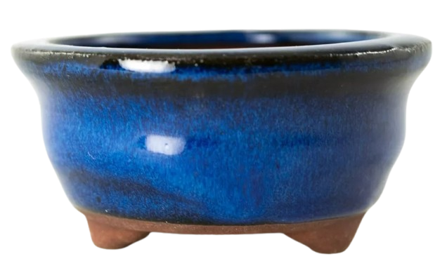 Round Blue Mame Bonsai, Succulent, Accent Plants Pot 3.25"x 3.25"x 1.5" + Mesh