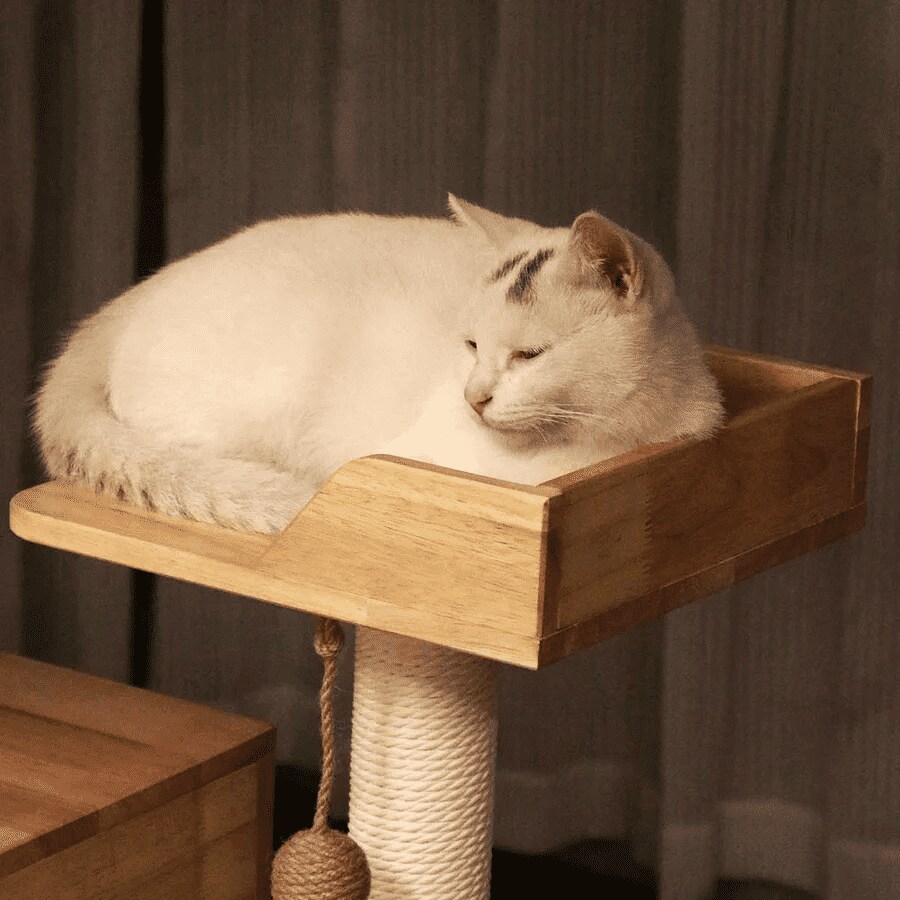 PETOMG Cat Tree Floor to Ceiling, Rubber Wood, No Drilling, Adjustable  Height(89.4'' - 109'') | MakerPlace by Michaels
