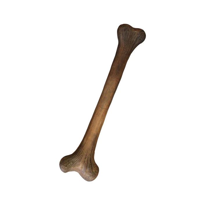 Small Dinosaur Bone Life Size Statue