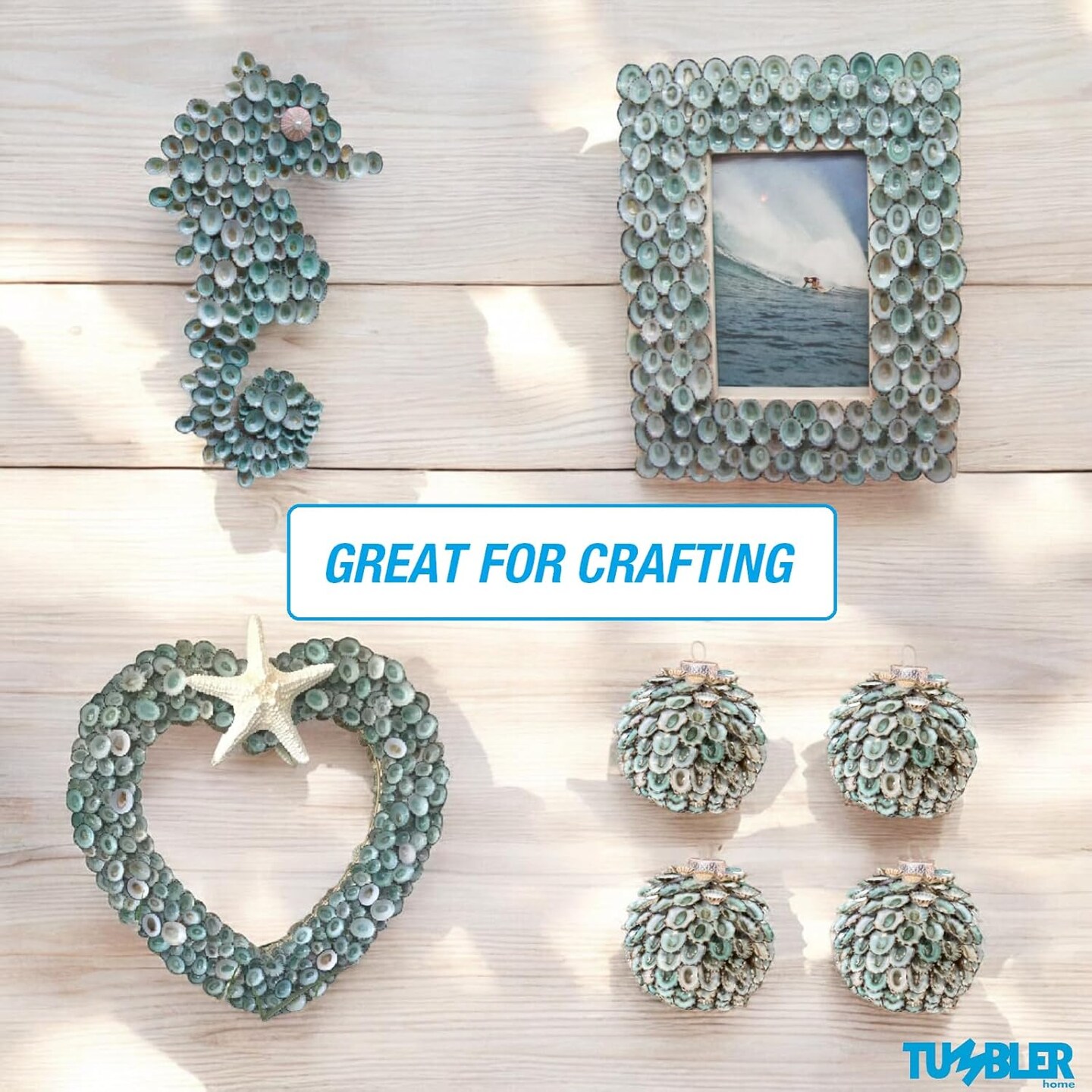 Sea Shells for Crafting, 40pcs of Small Shells 0.5" to 1" inch Green Limpet Seashells for Crafts, Decoration & Coastal Décor